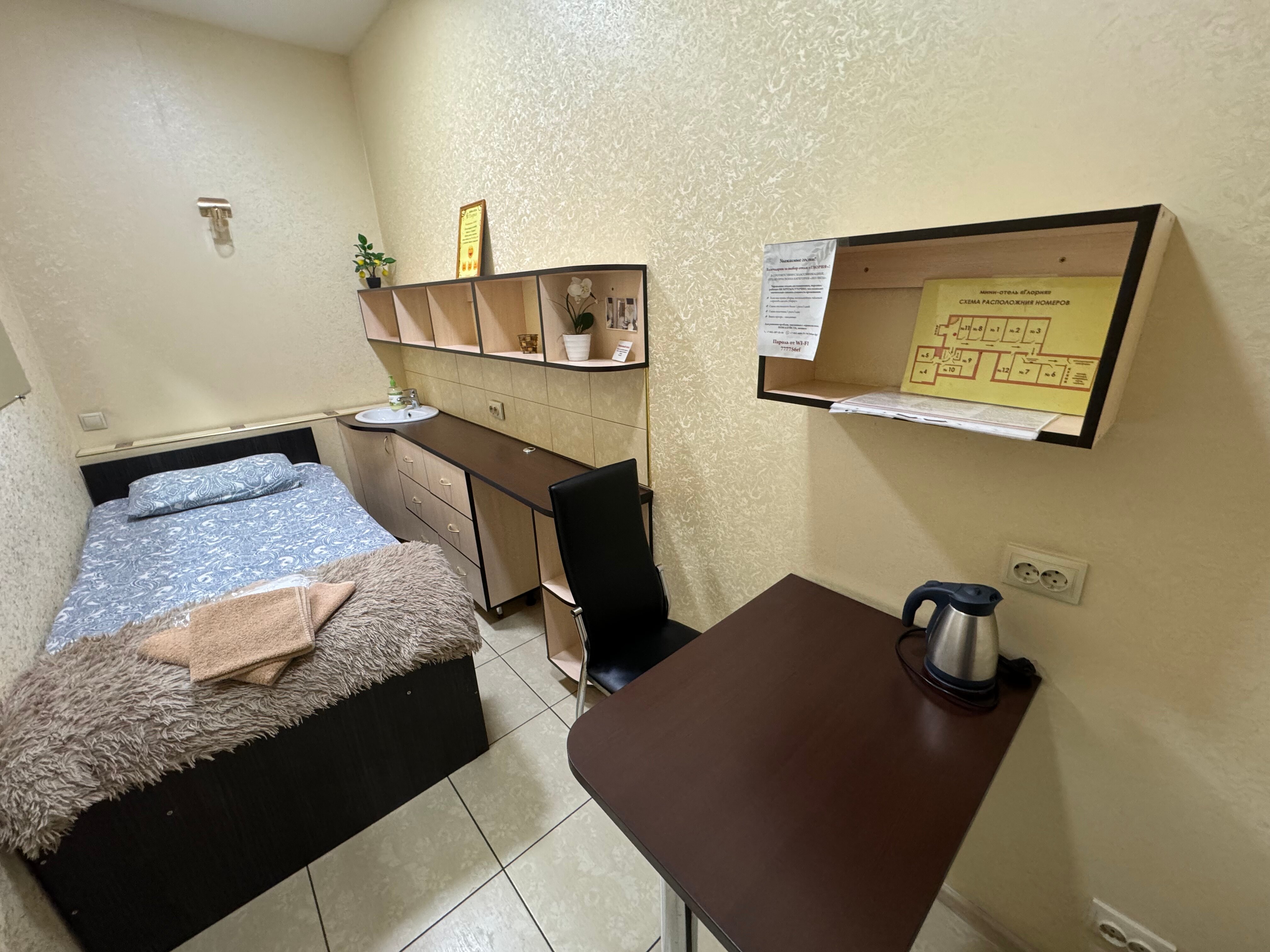 Фото Глория