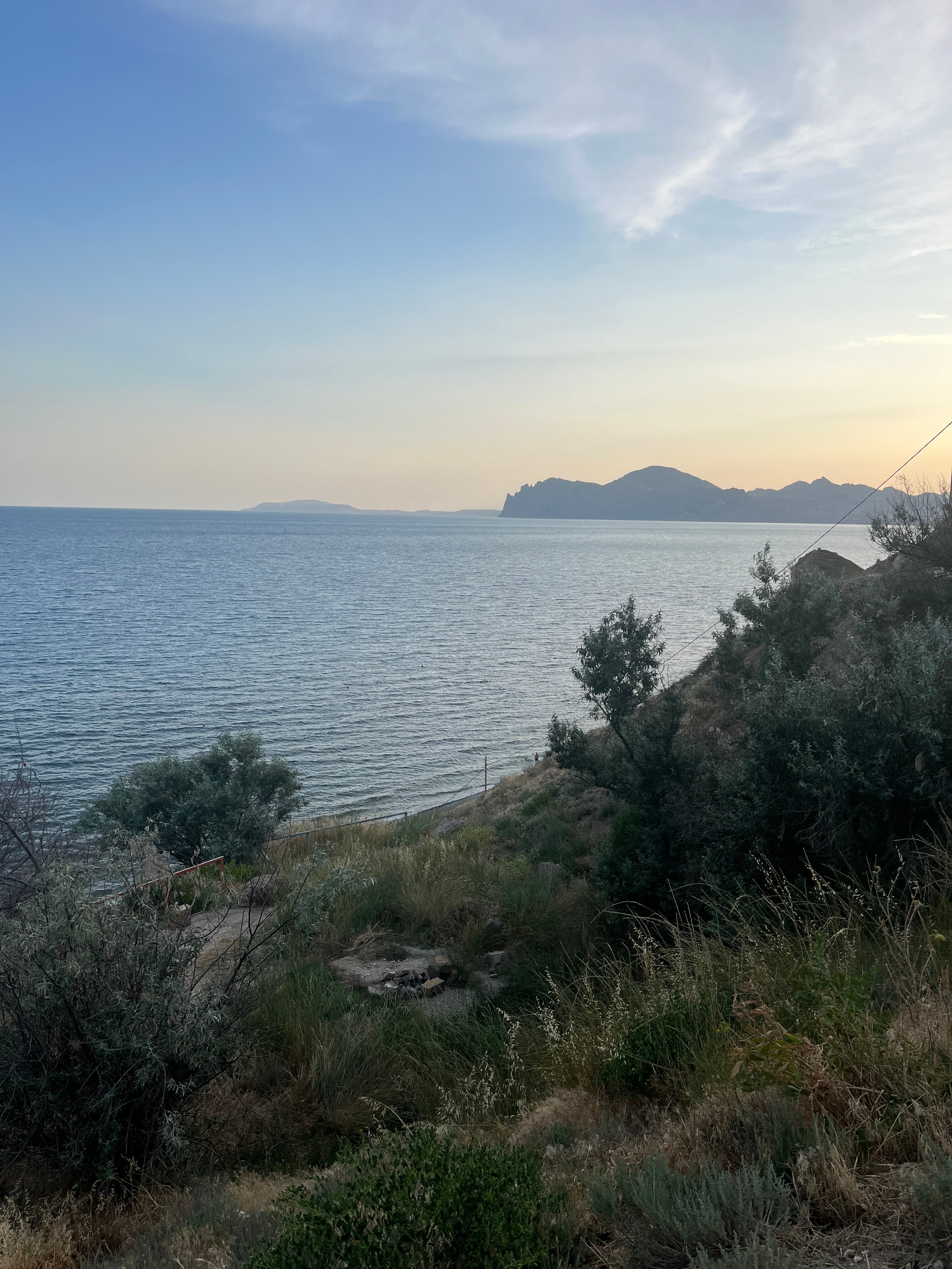 Фото Эллинг у Зои