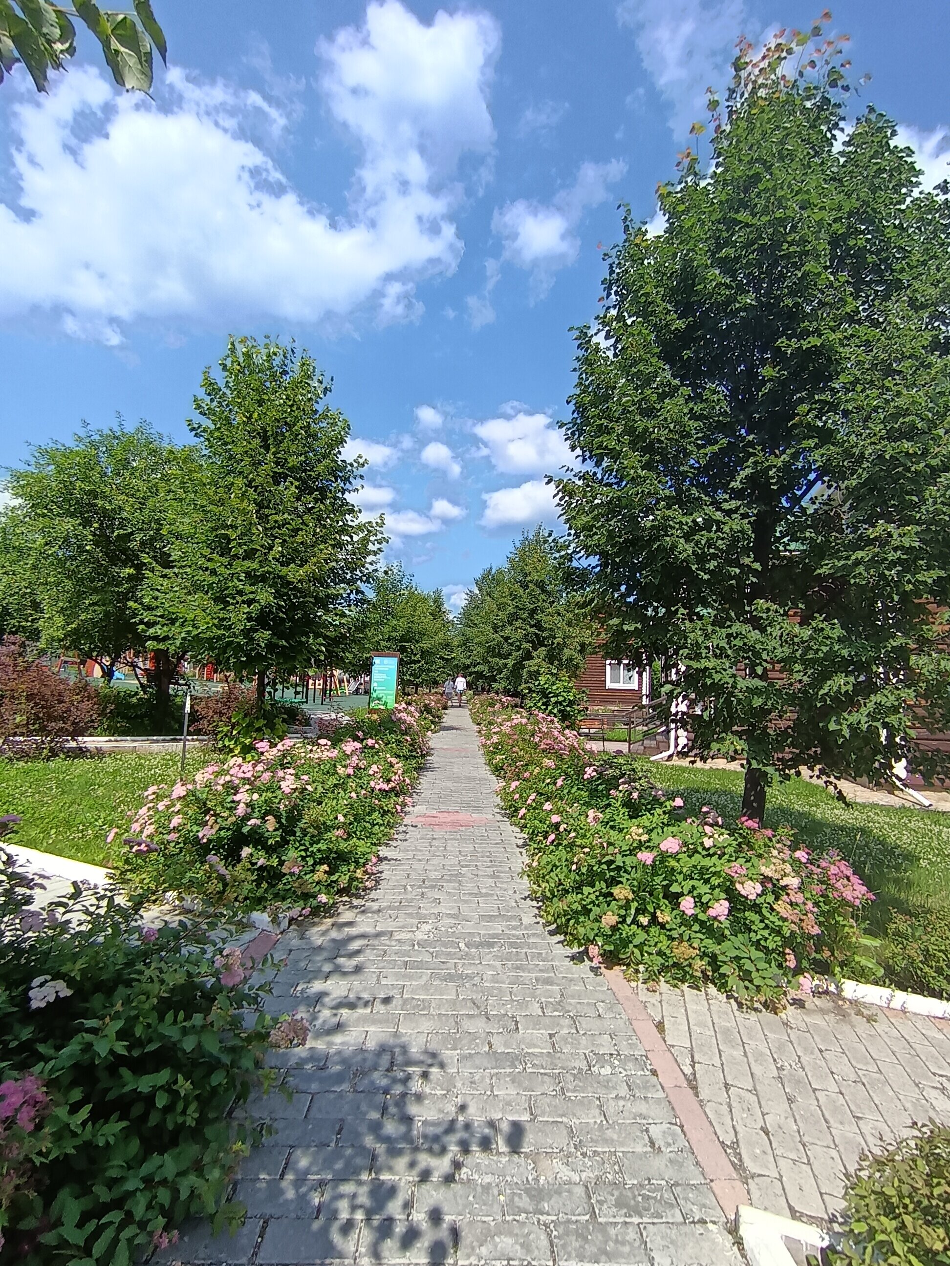 Фото Белая лошадь