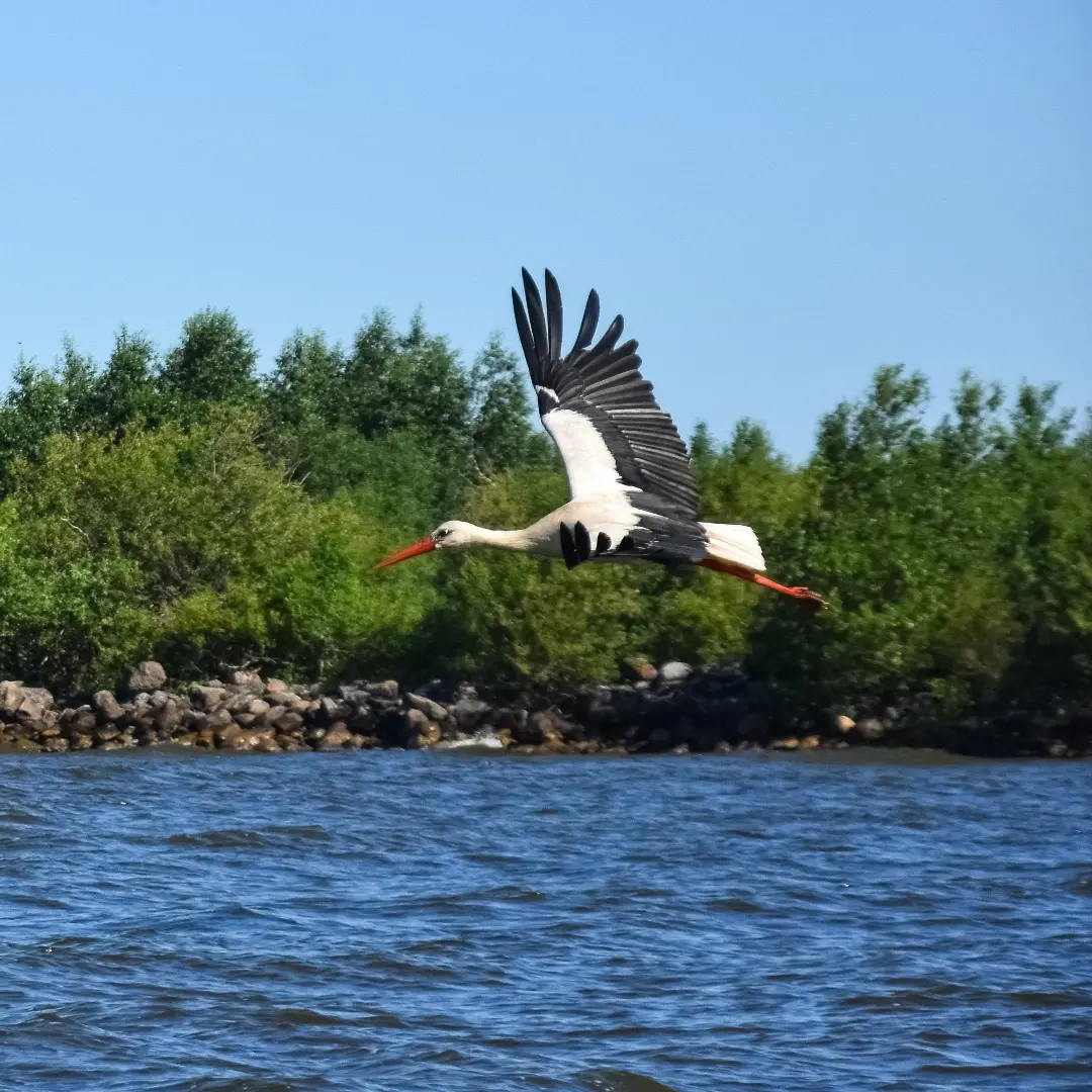 Фото Загородный клуб Устье