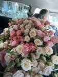 Ripona (Lazarevskoe Residential District, Pobedy Street, 100) ، محل زهور