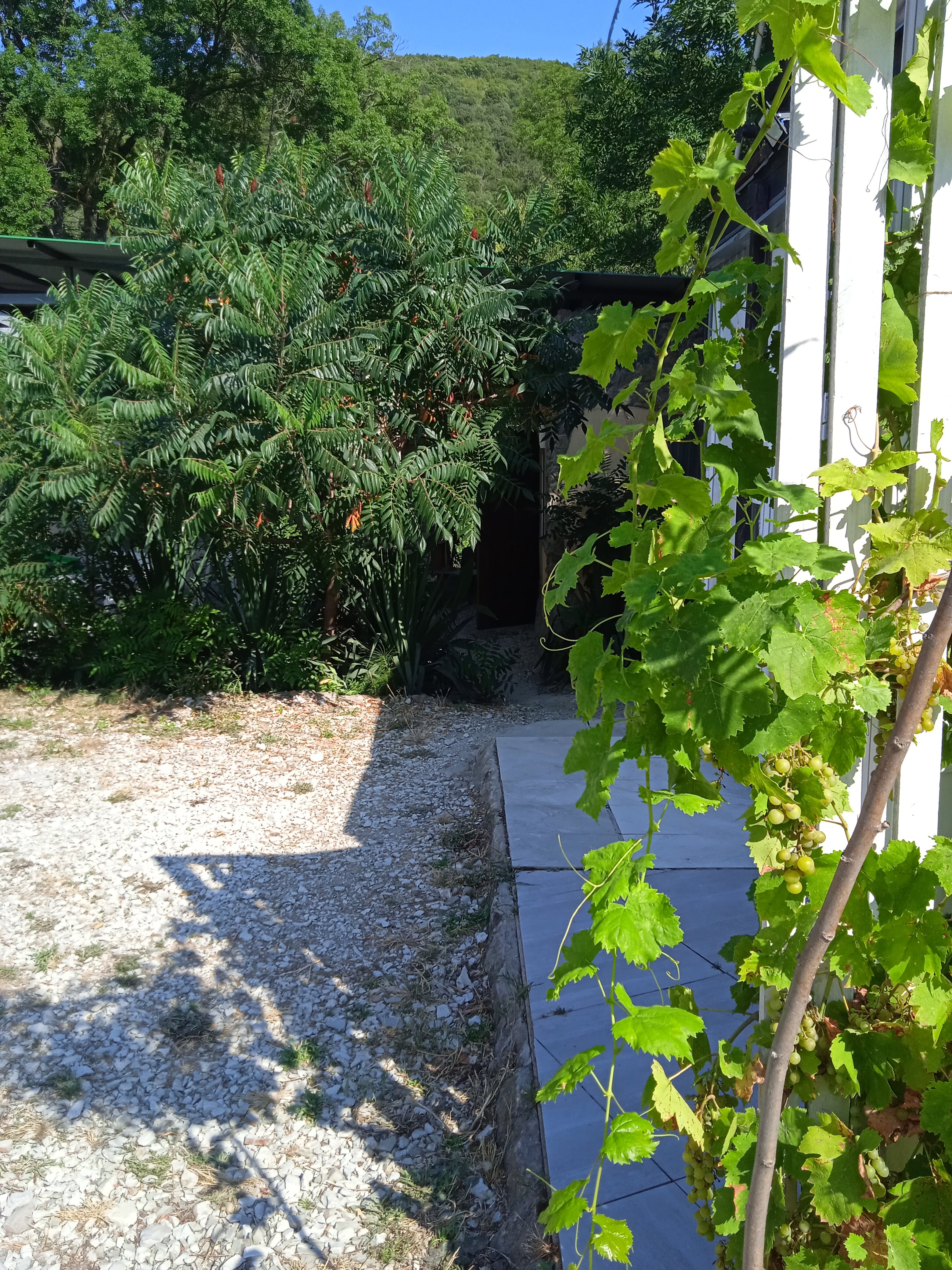 Фото Светлана