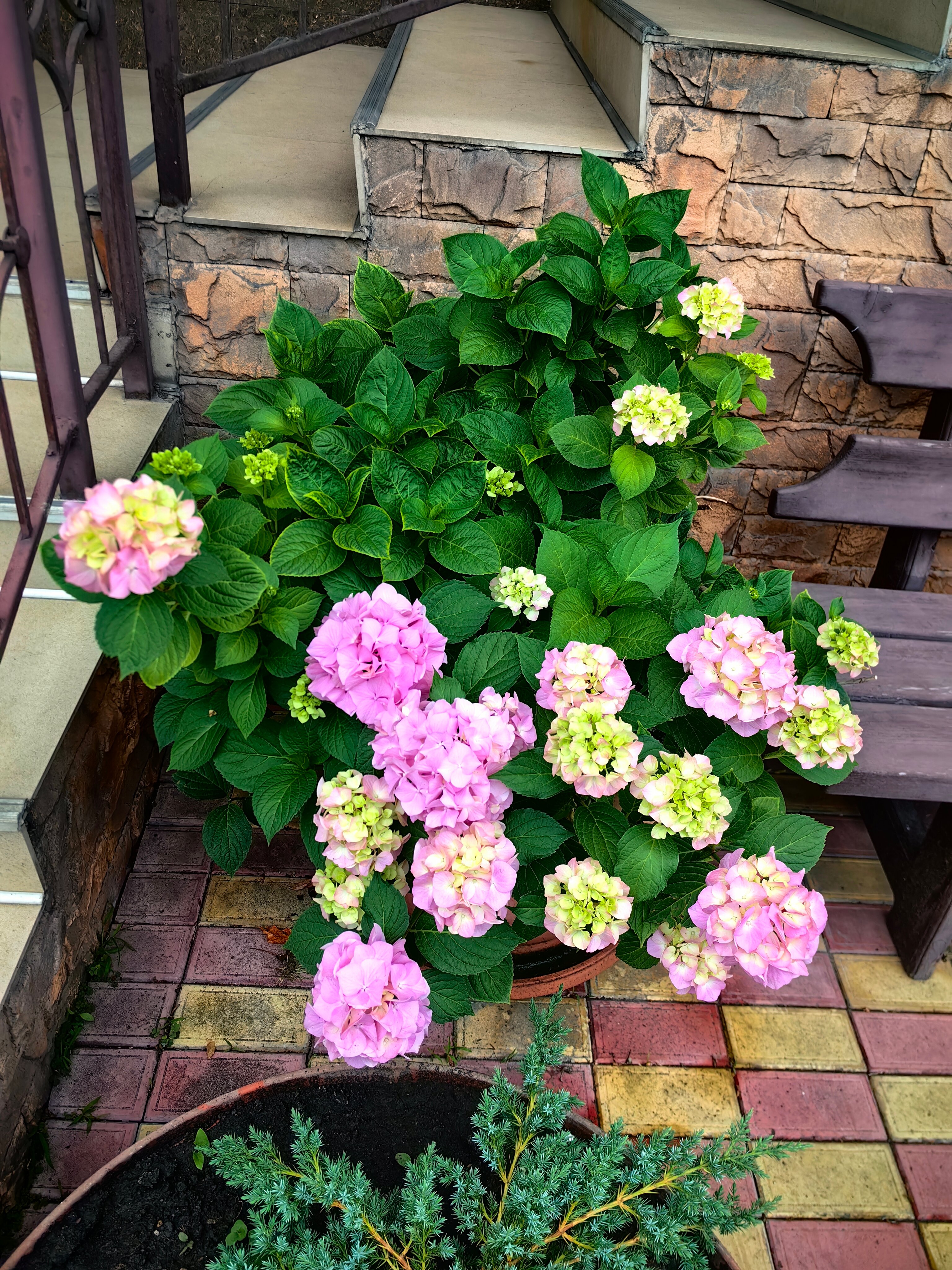 Фото Астория