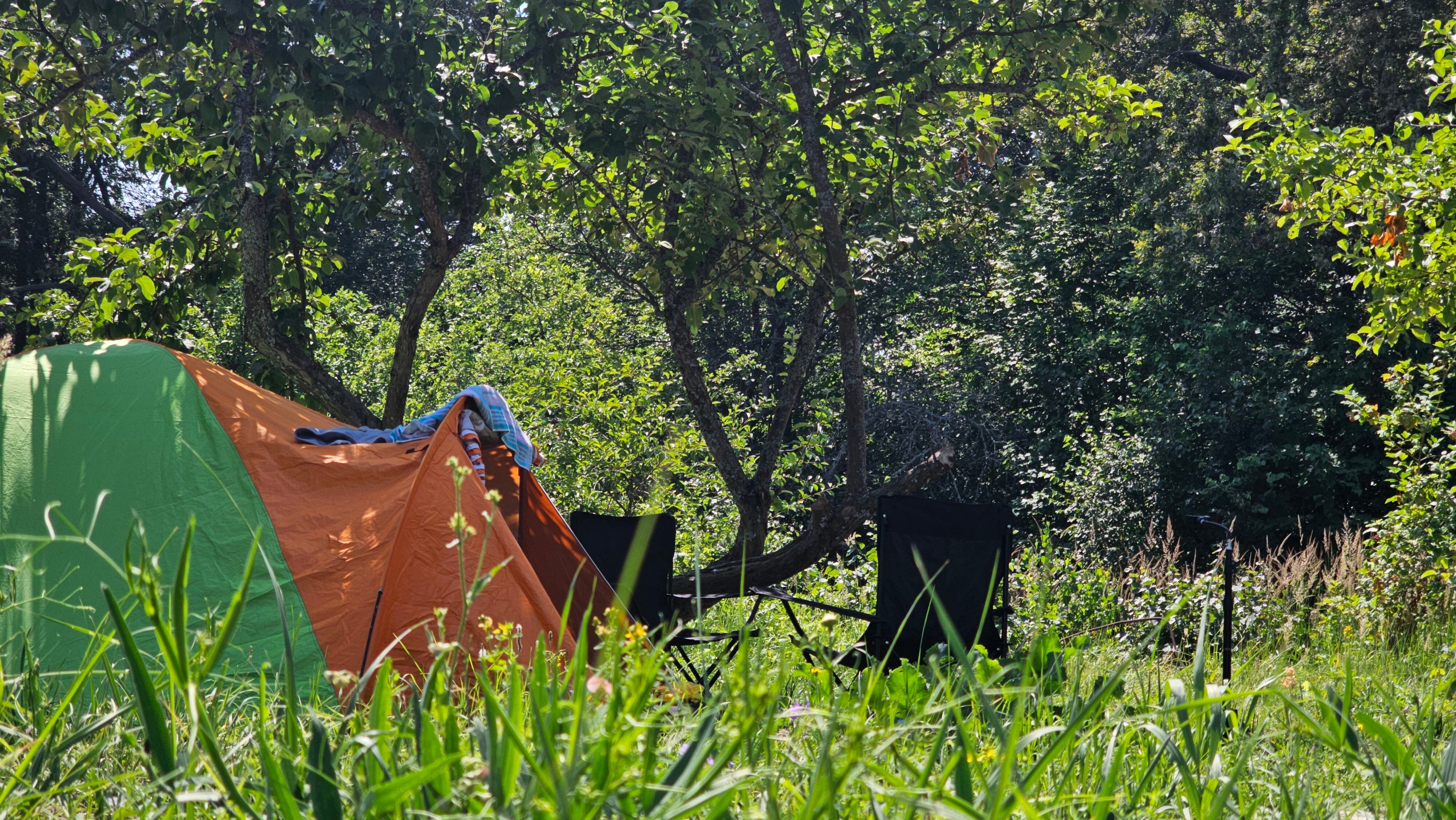 Фото Шишкин мыс