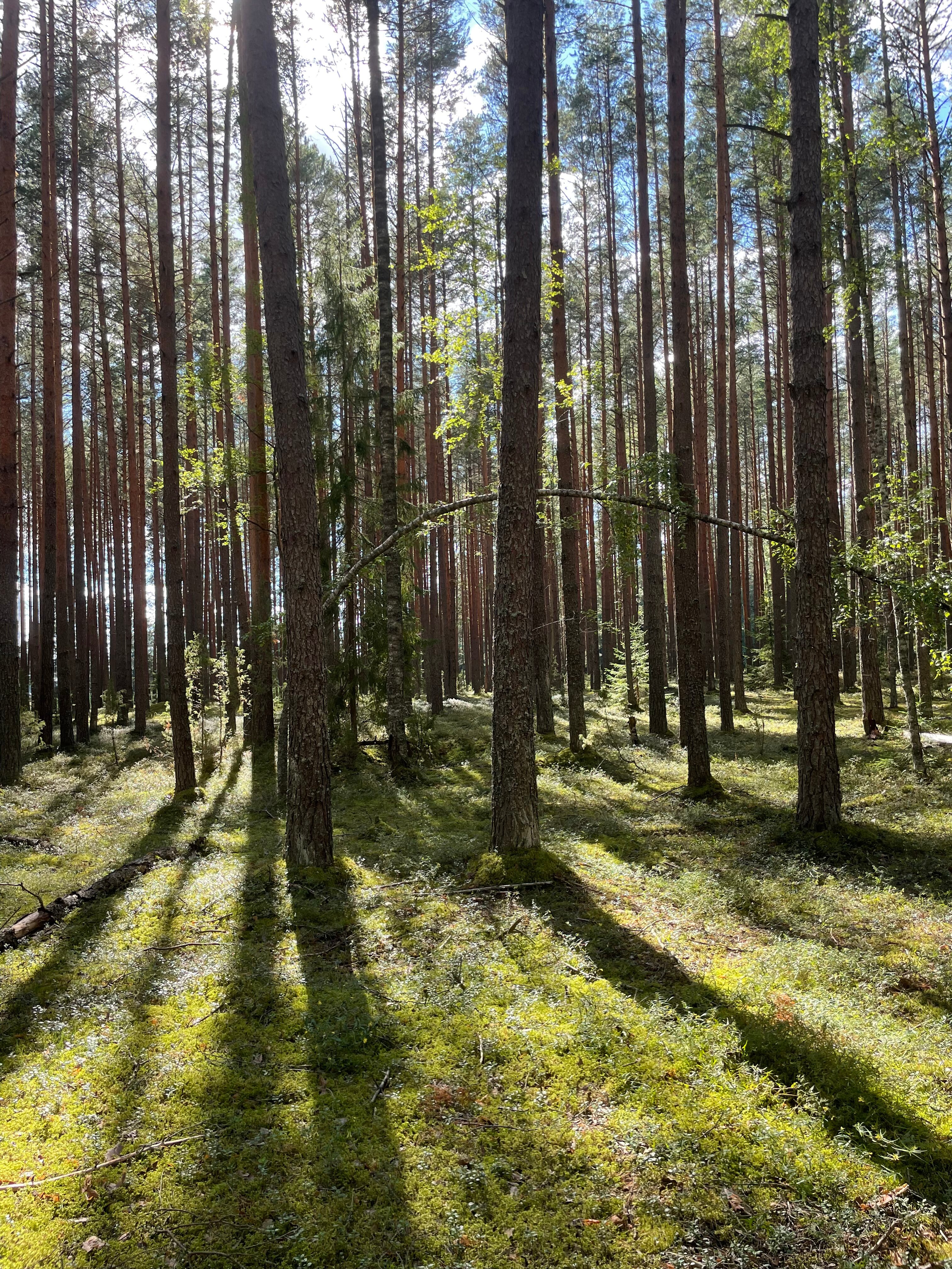 Фото Отдых Волго