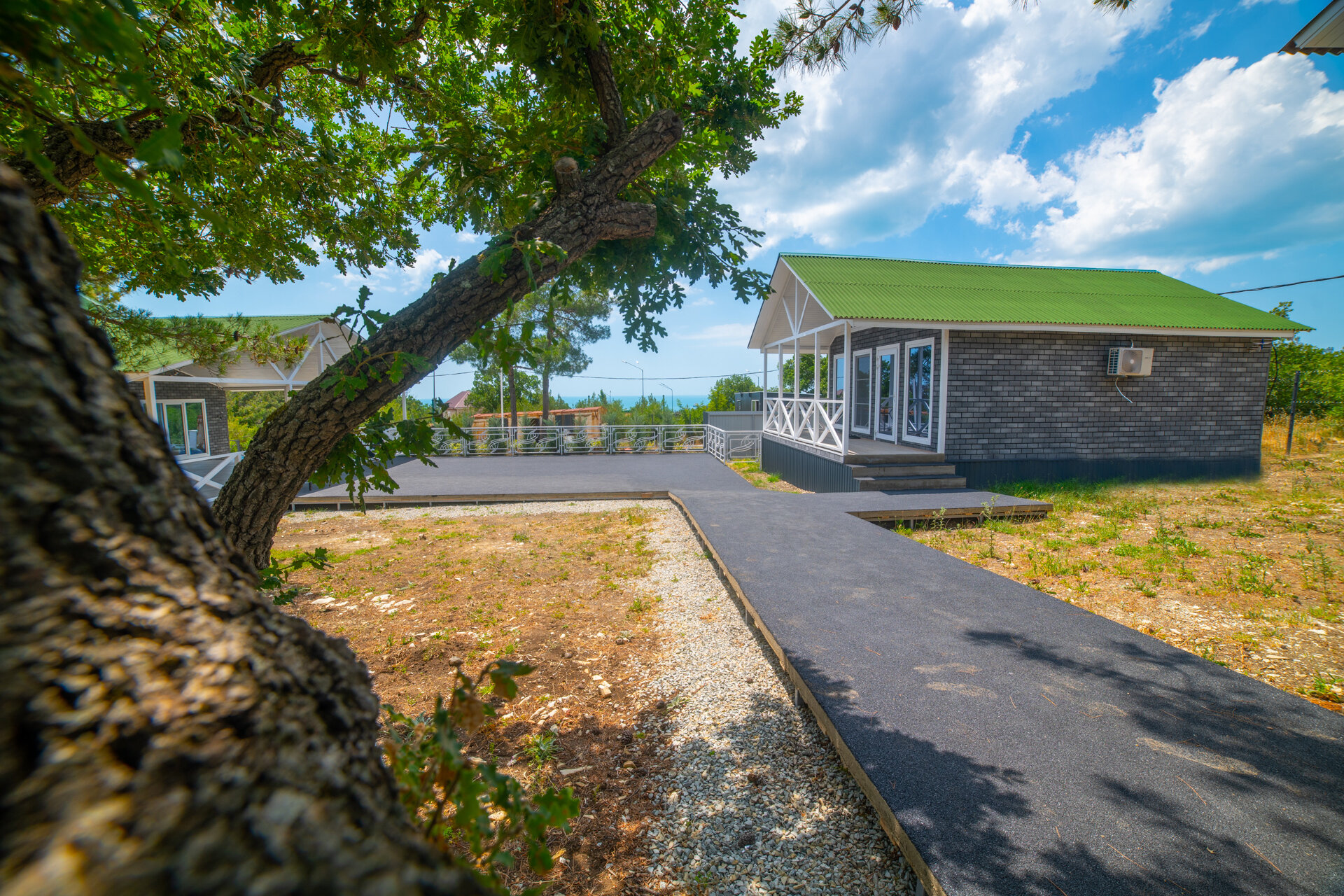 Фото Елки и Иголки