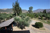 Фото Holiday Tolofona