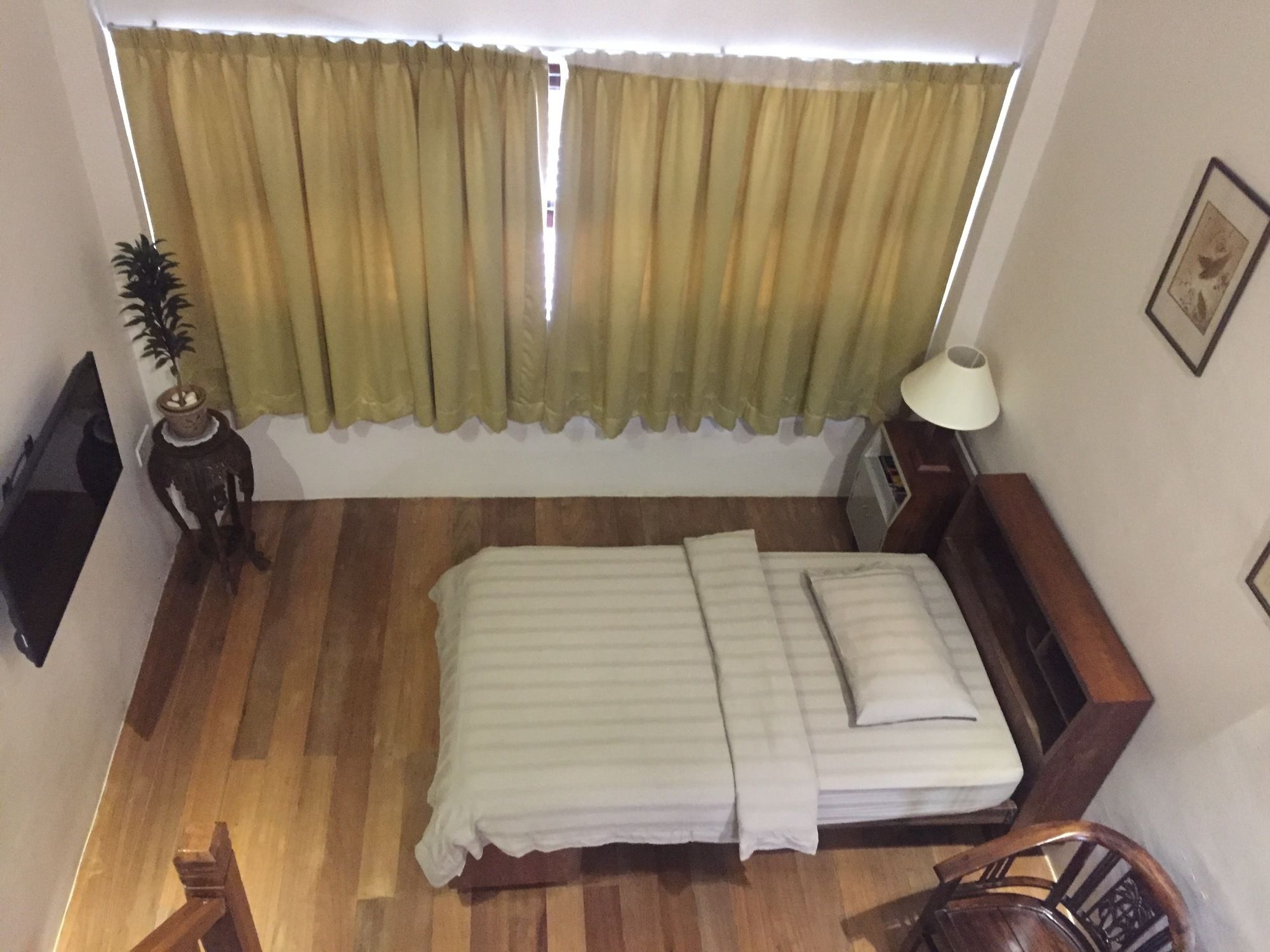 Фото Palm Mansion Boutique Suites