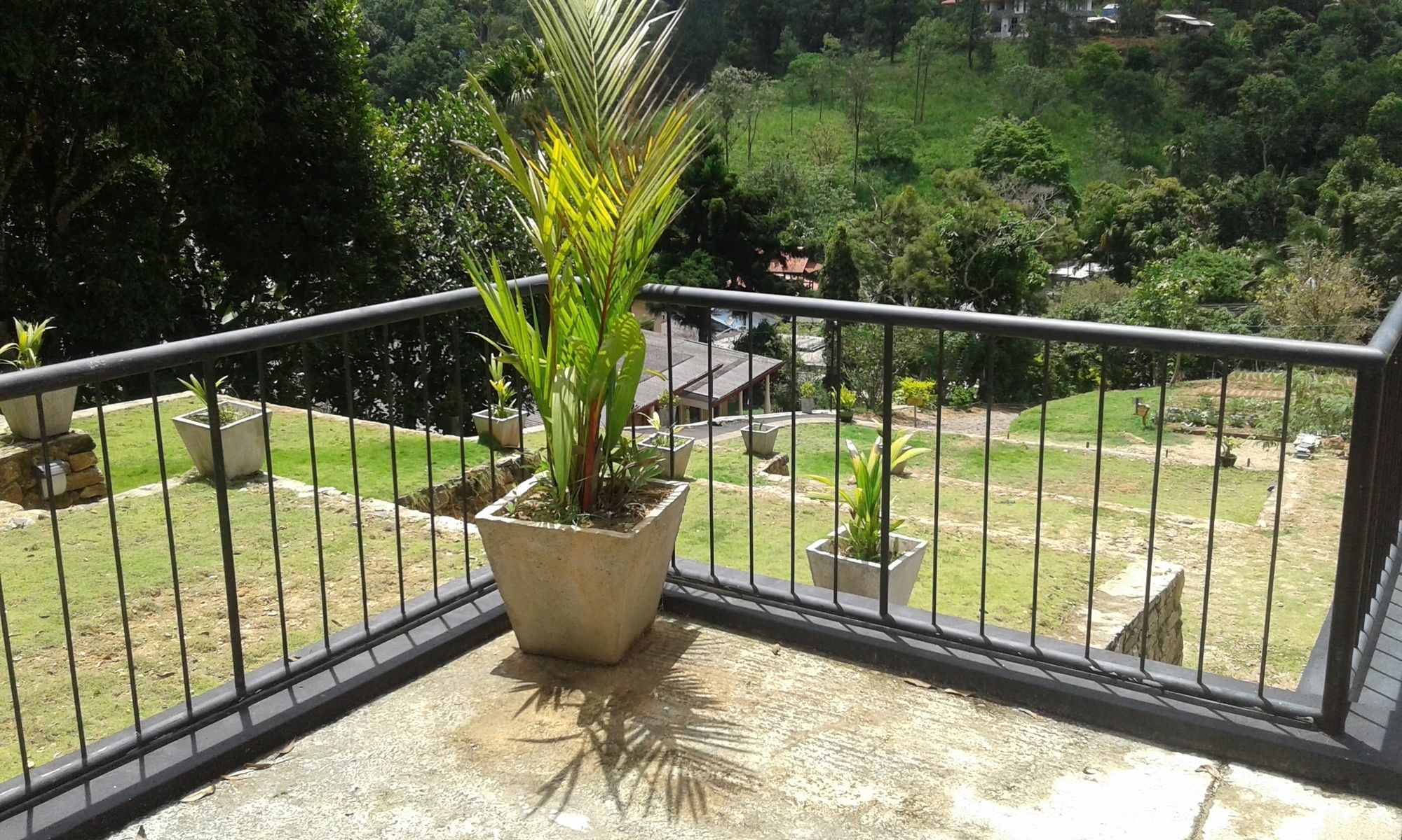 Фото Hotel Alta Vista