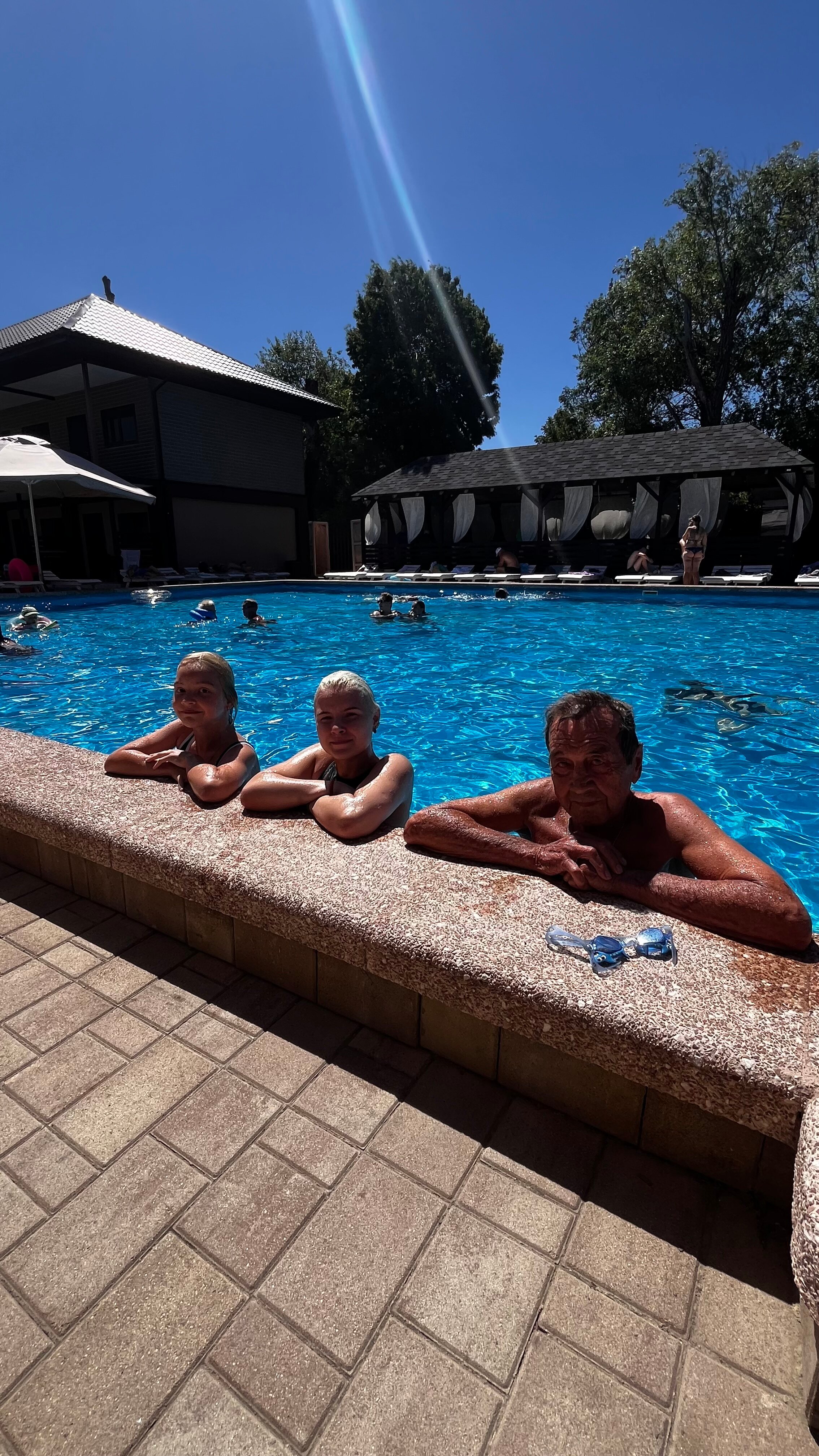 Фото Кипарис