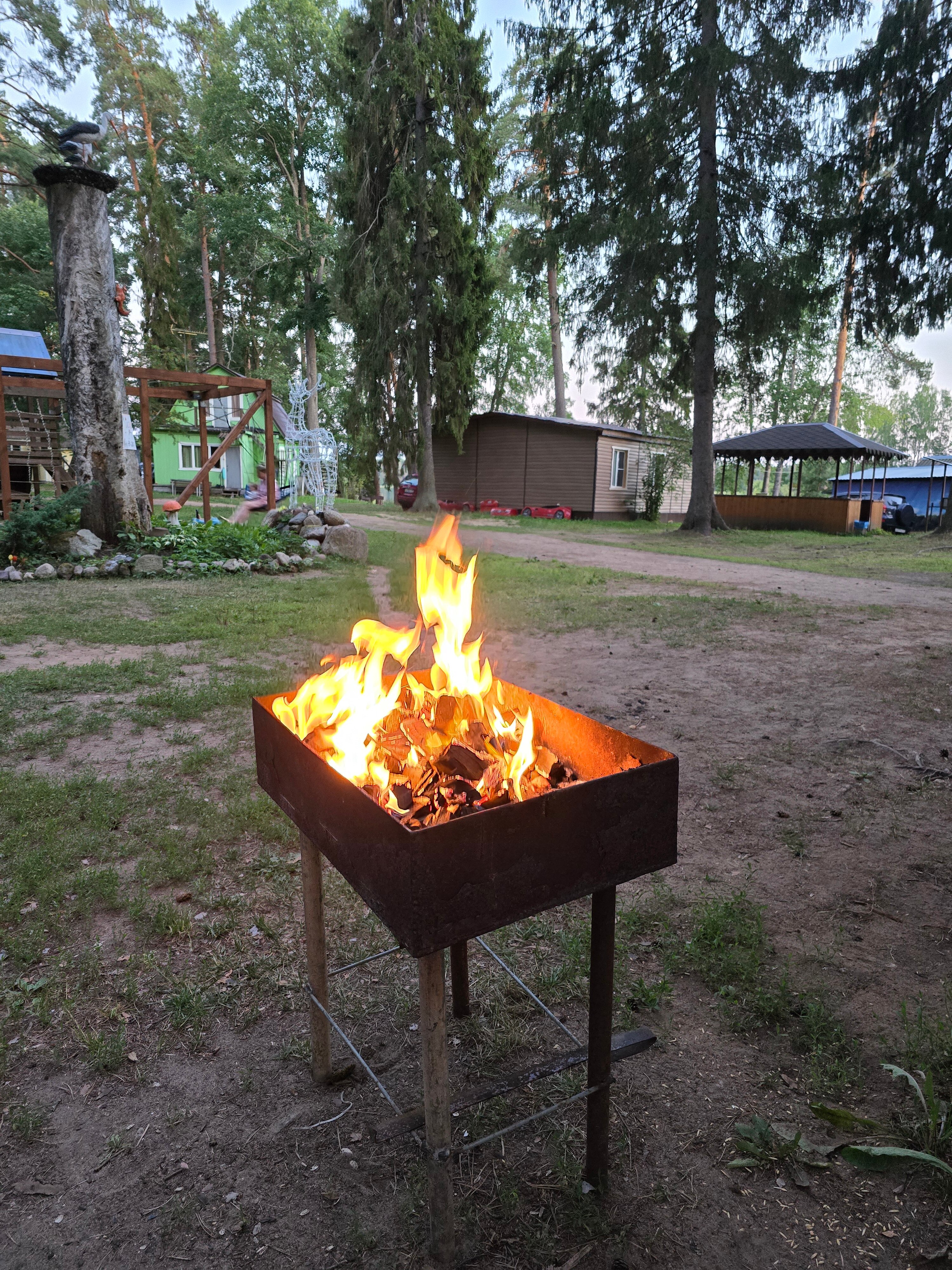 Фото Лесная дача