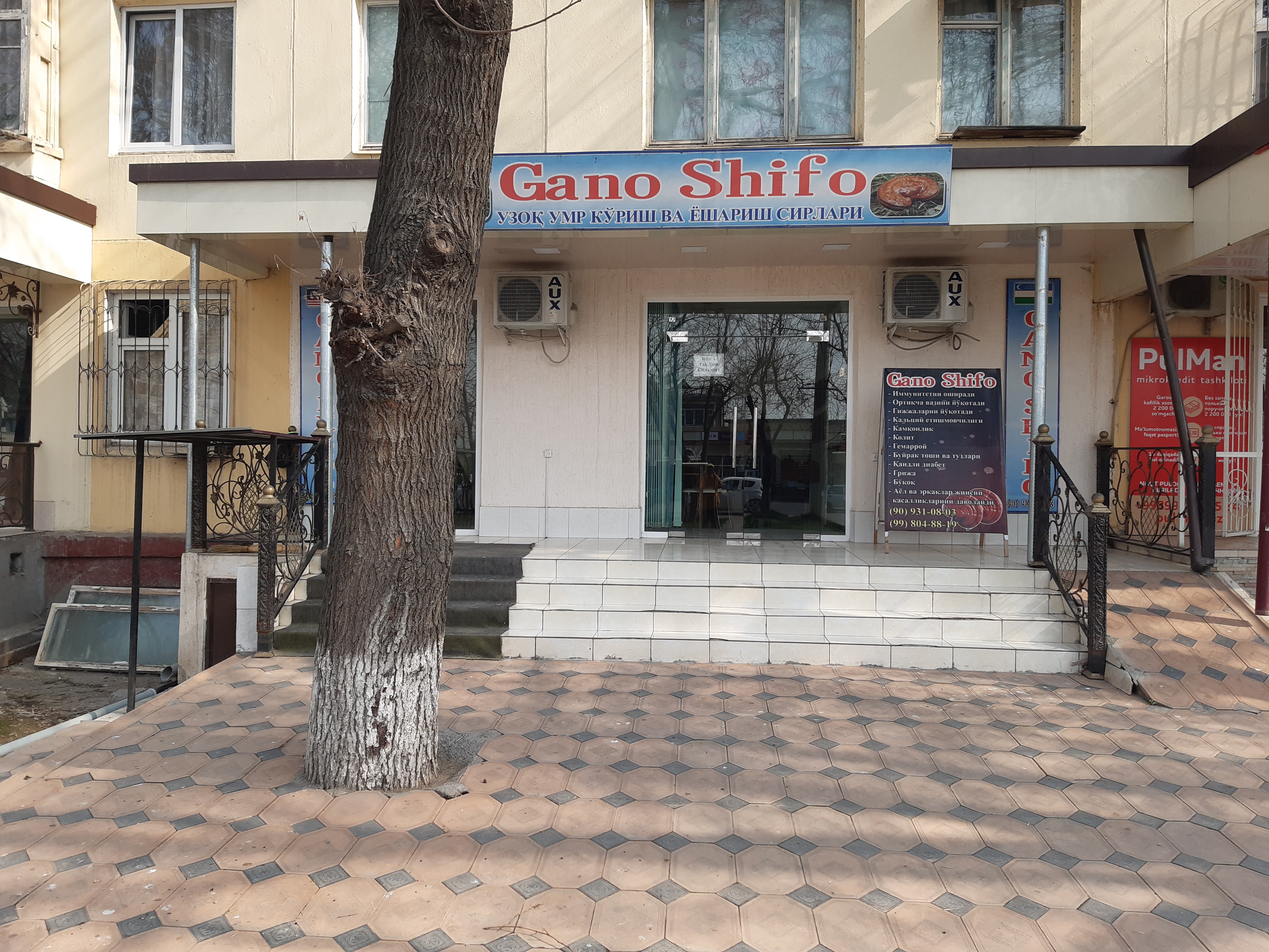 Anna Kurnikova porno tomosha qilayotganda jahli chiqdi