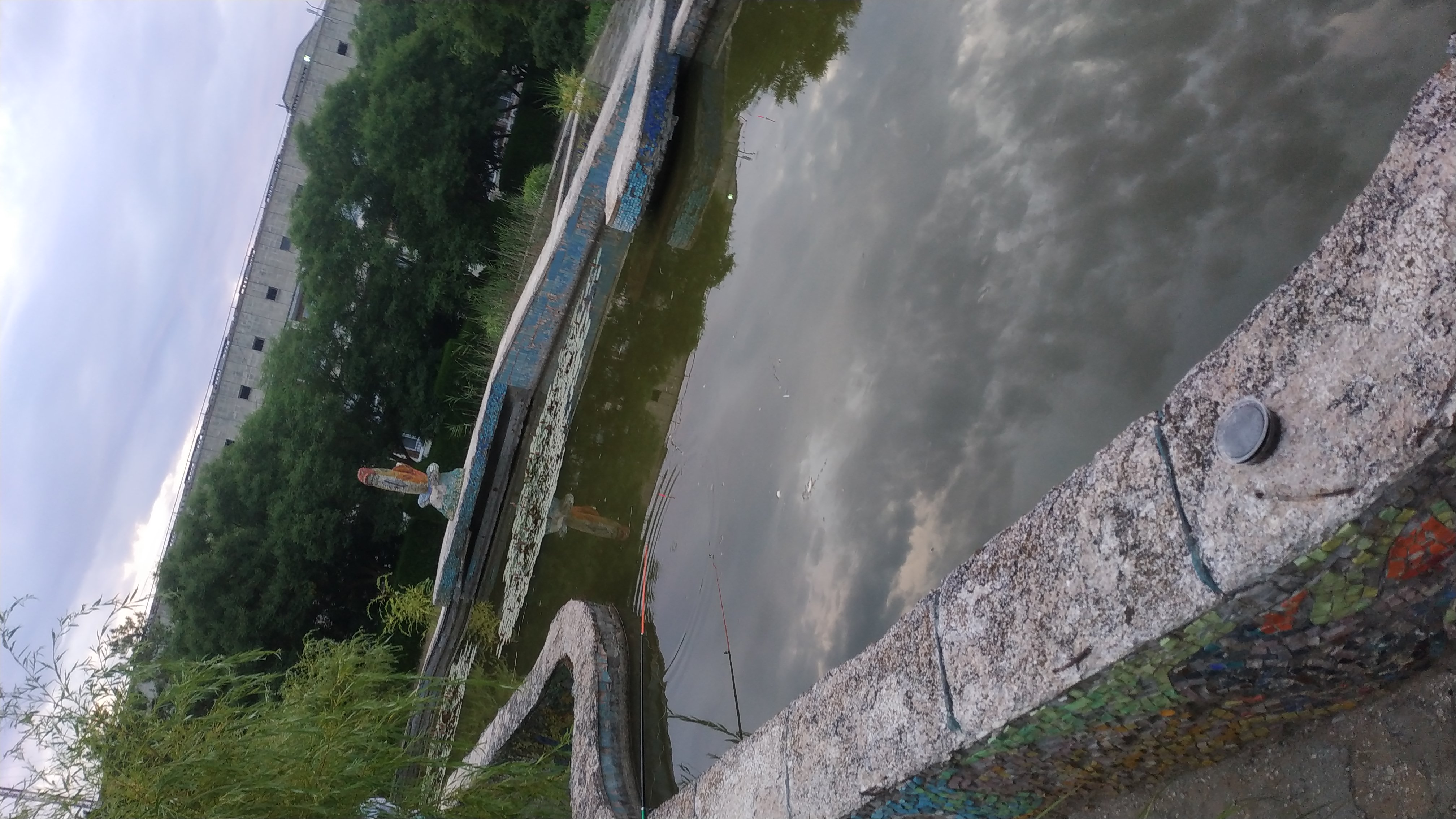 Фото Северный