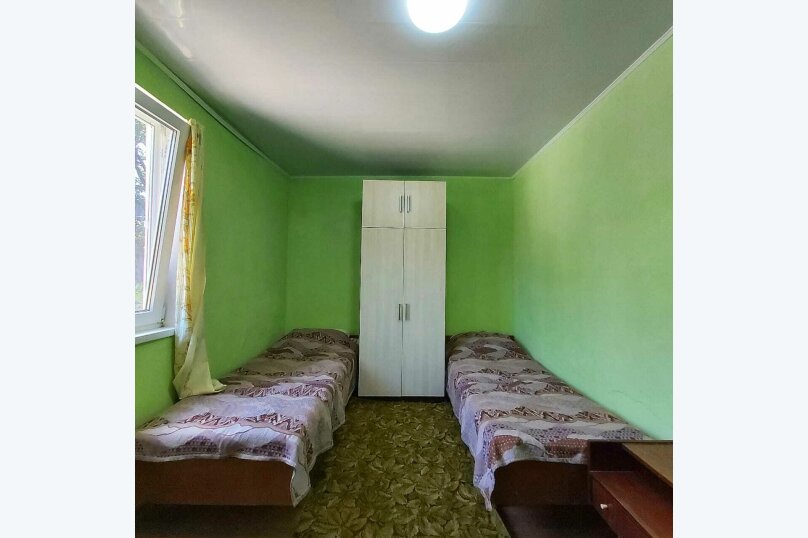 Фото Золотая Рыбка