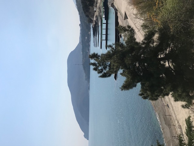 Фото Таврида