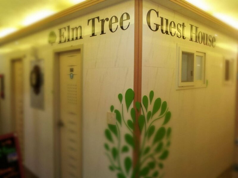 Гостиница Elm Tree Guest House Myeongdong