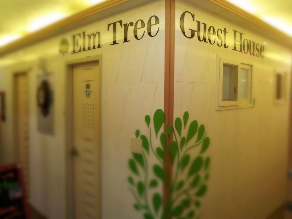 Фото Elm Tree Guest House Myeongdong