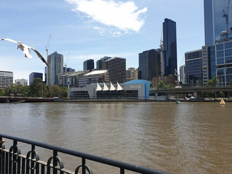 Гостиница 225 Melbourne Tower в Мельбурне