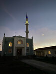 Мечеть (село Цветочное, улица Достлук, 3), mosque