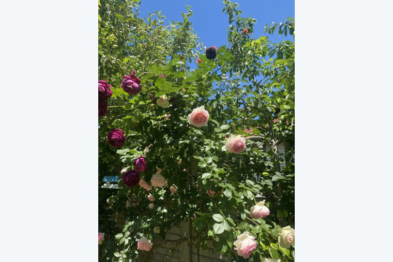 Фото Наталья