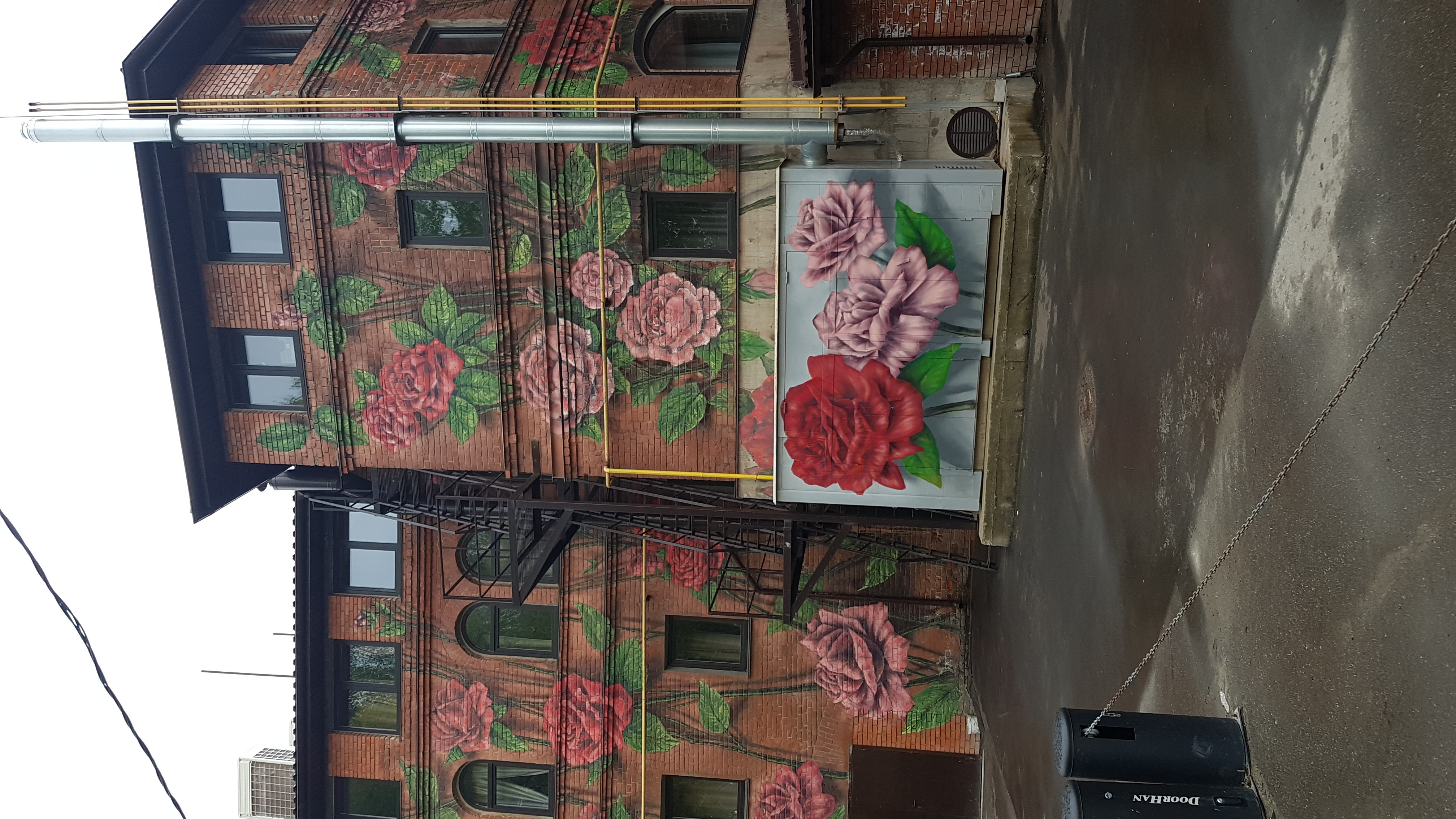 Фото Ботаника Лофт