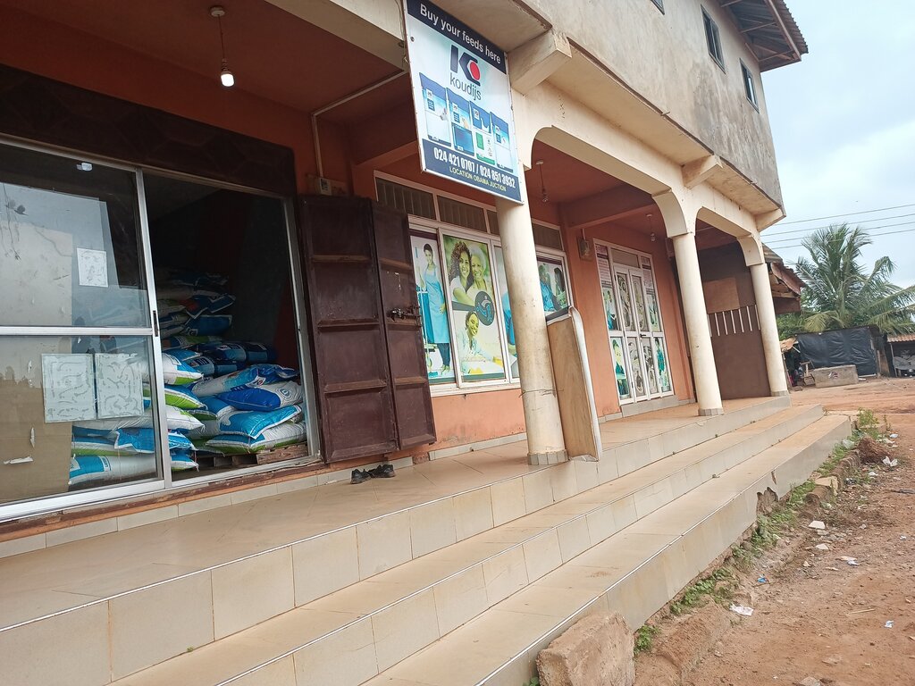 Business center Koudijs, Earth, photo