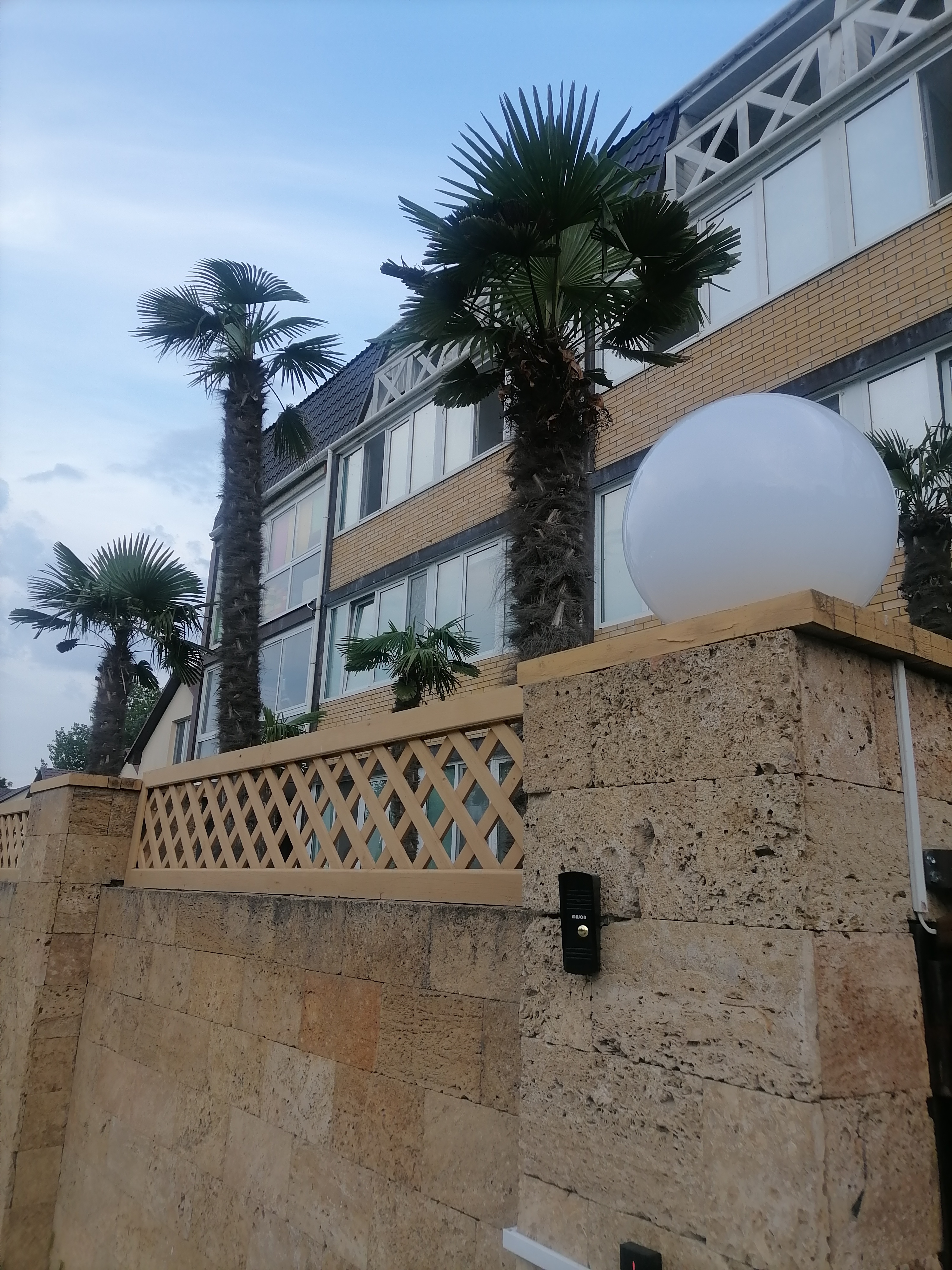 Фото Дублин Дельфин