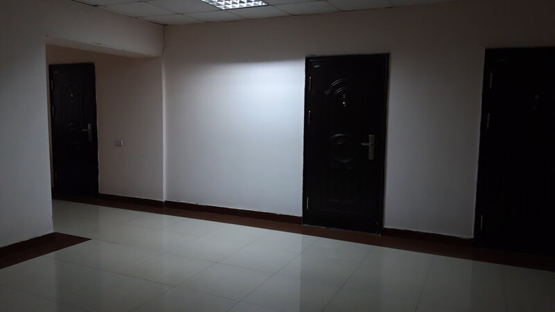 Фото Метелица