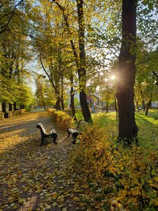 Алмаз