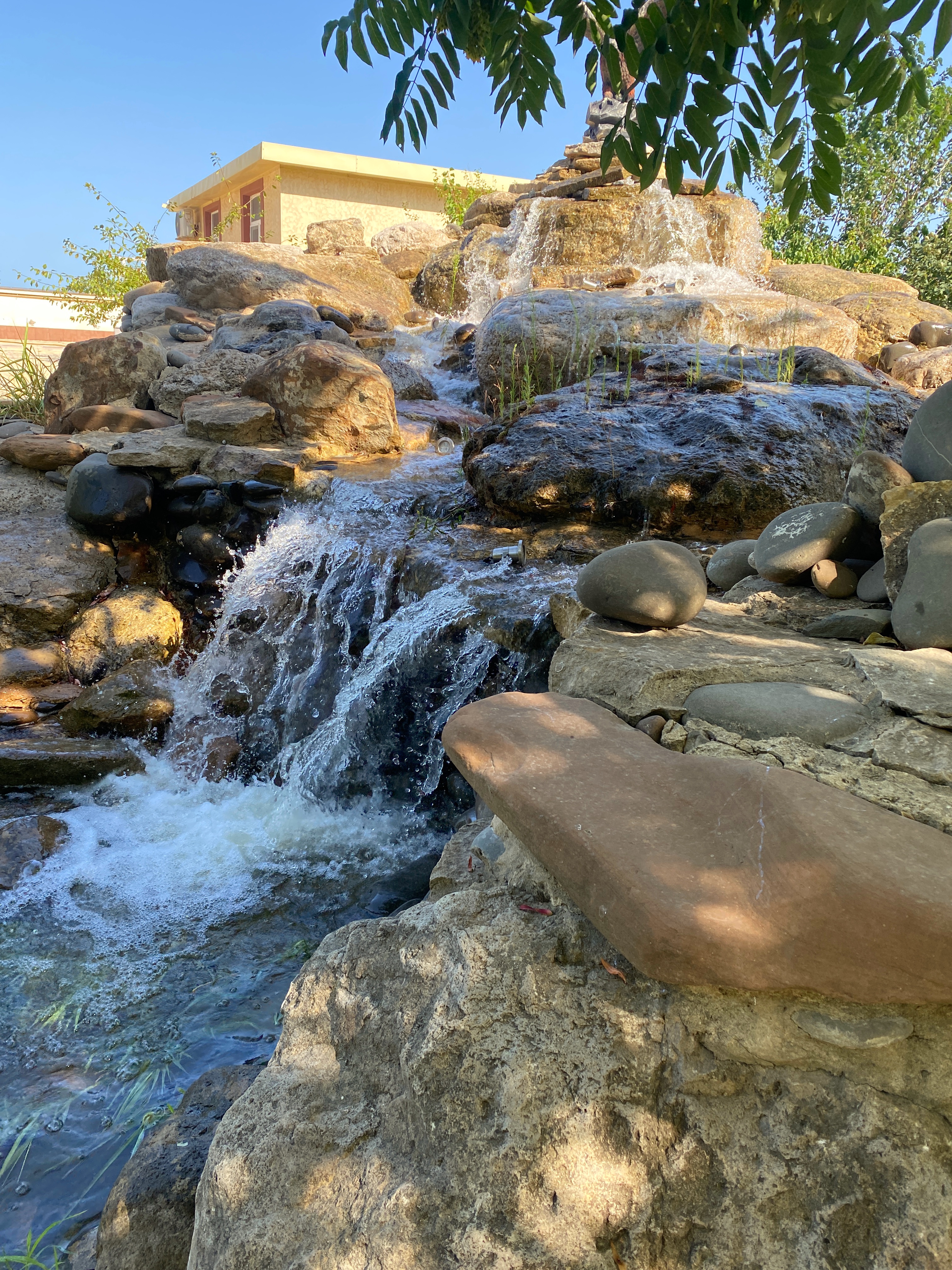 Фото Журавли