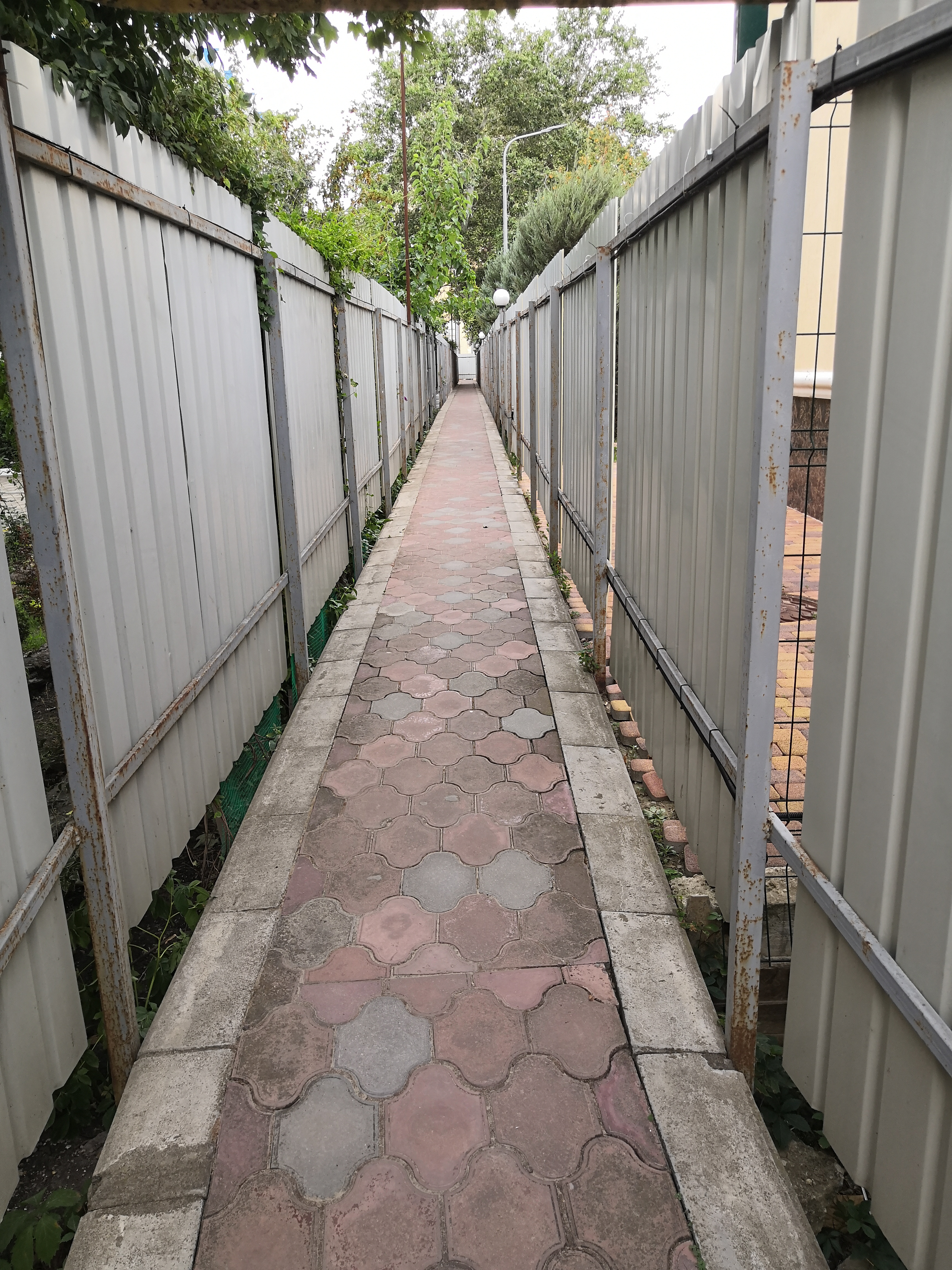 Фото Екатерина