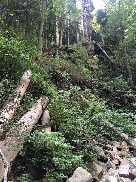 Фото Богатырь