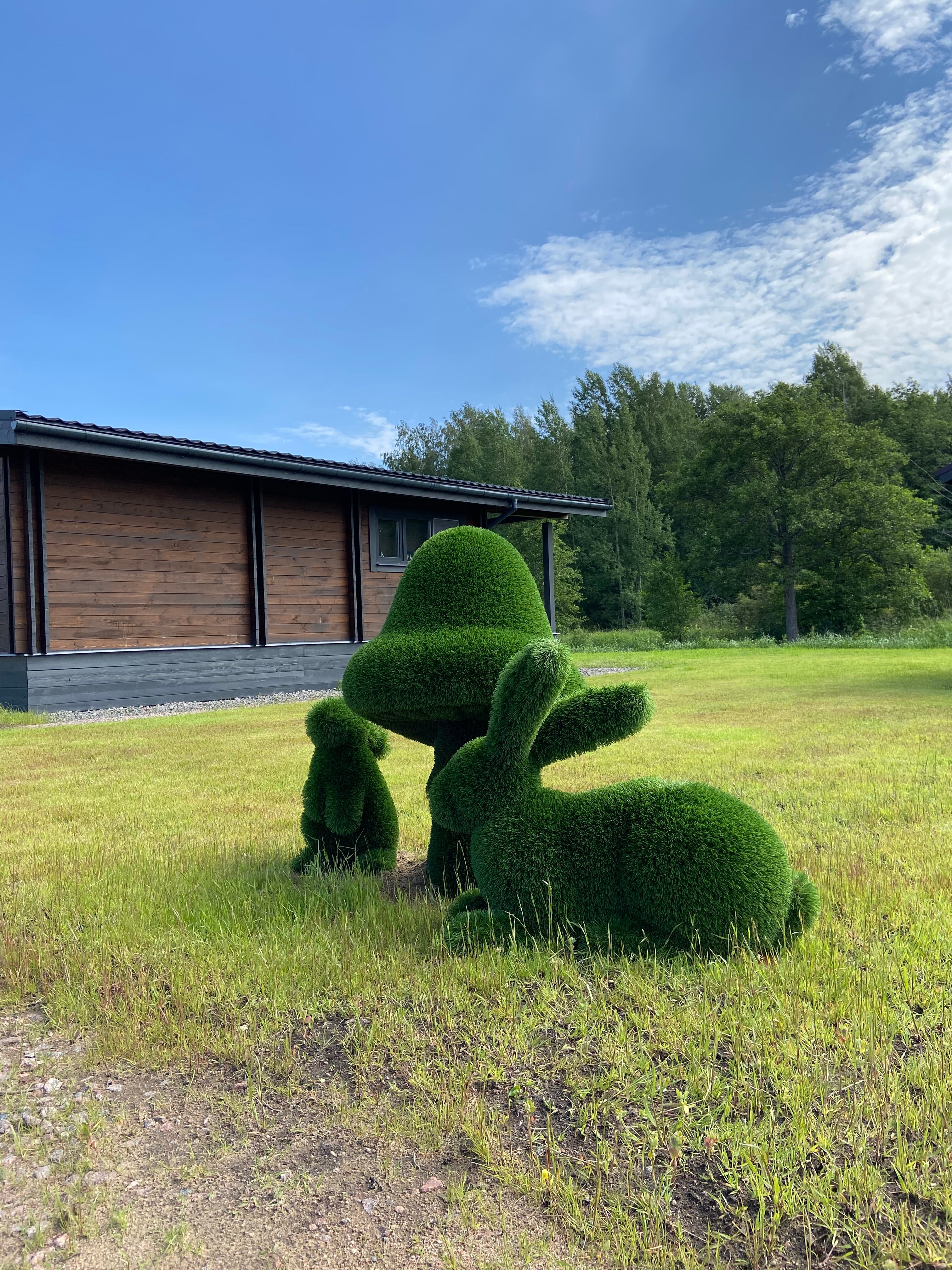 Фото Фазенда