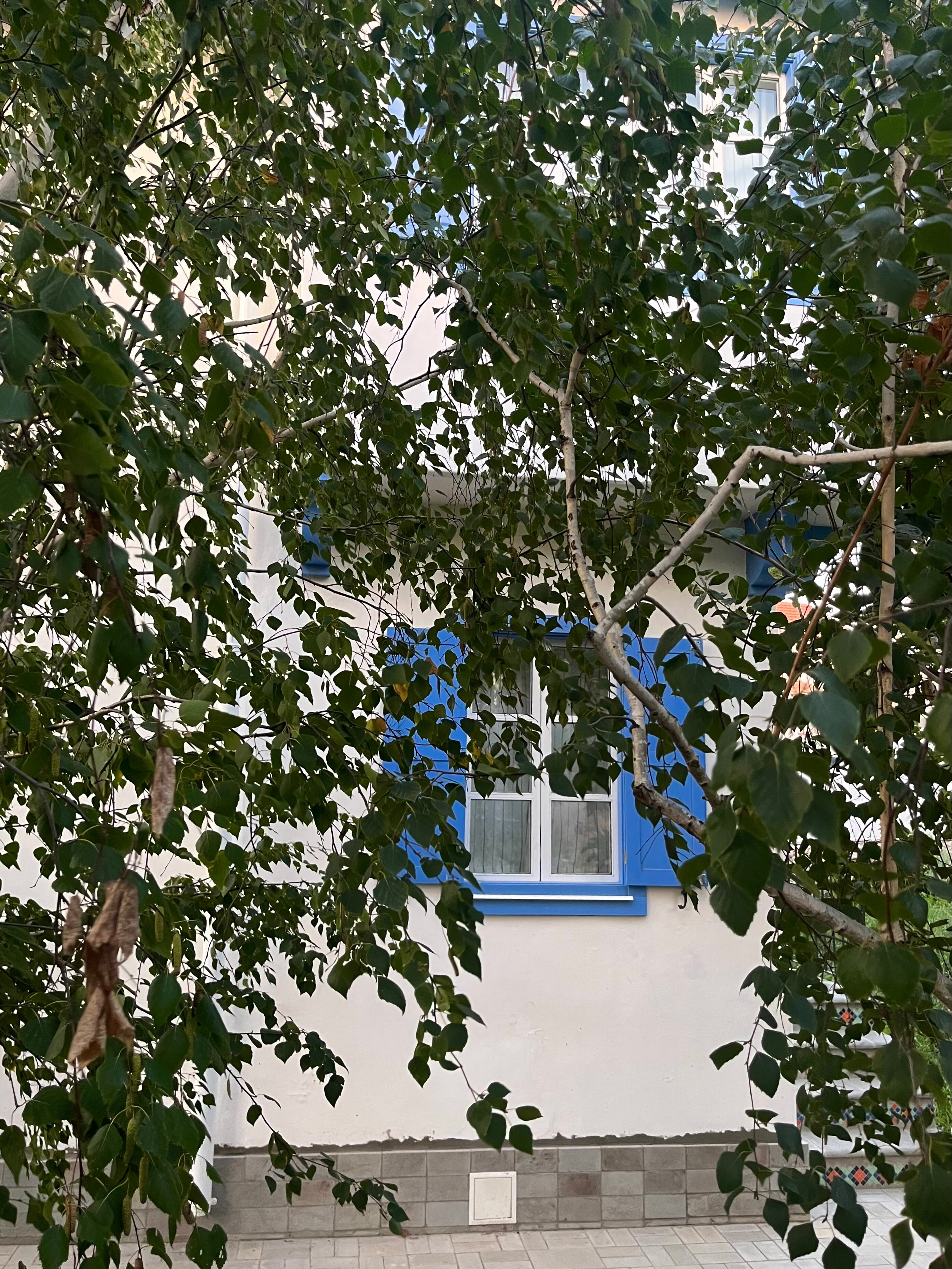 Фото Родина