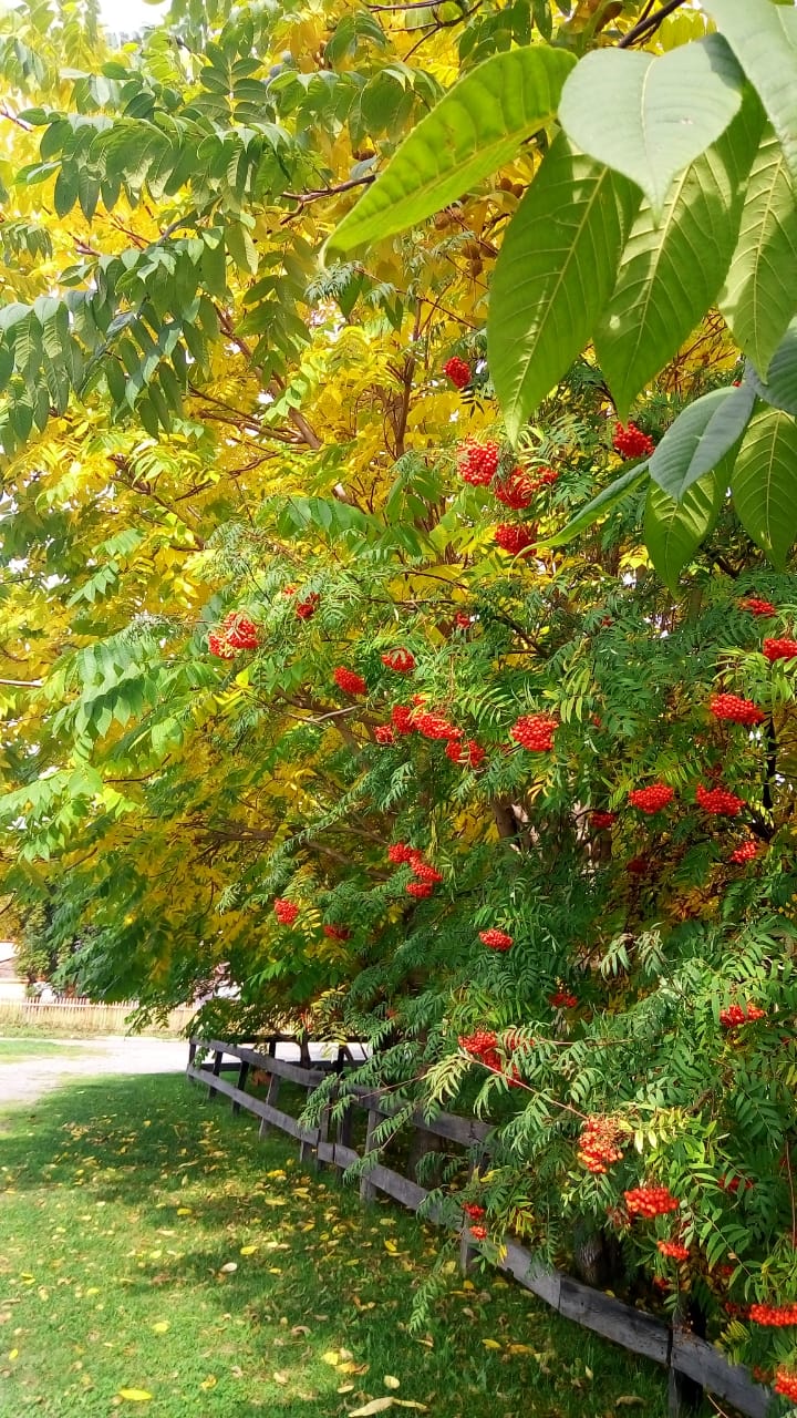 Фото На Радужном берегу