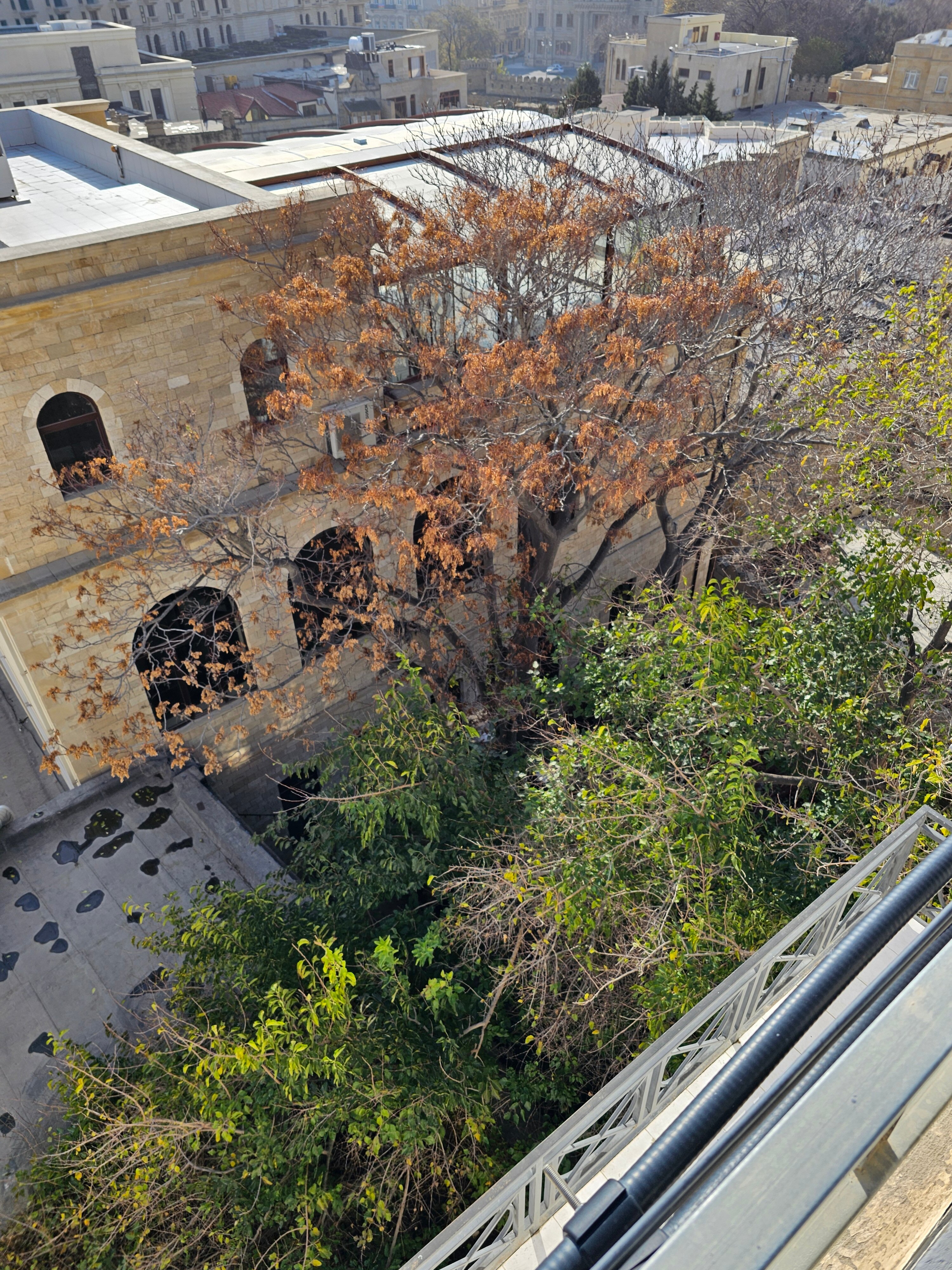 Фото Qız Qalası Hotel