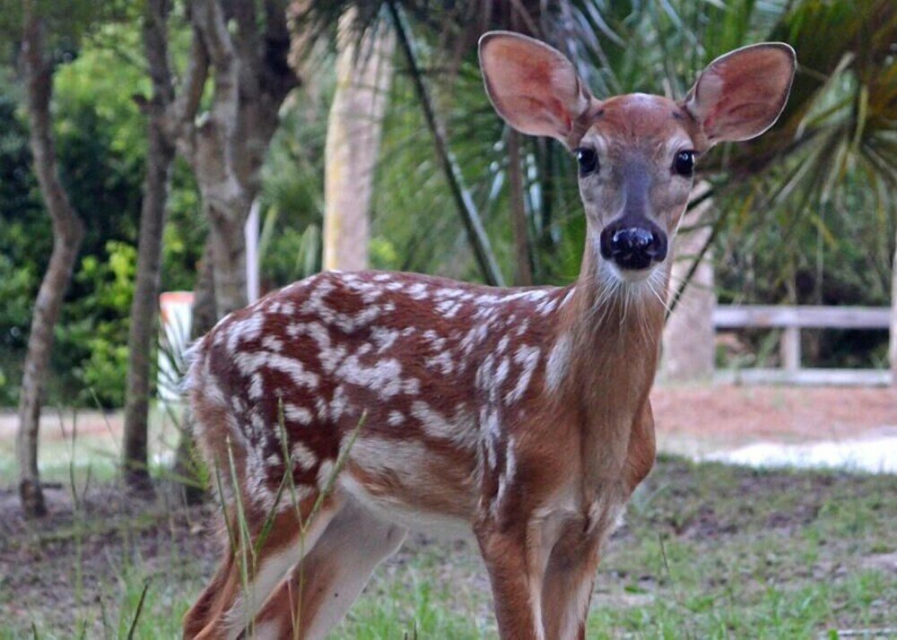 Фото 326 Ocean Point Drive