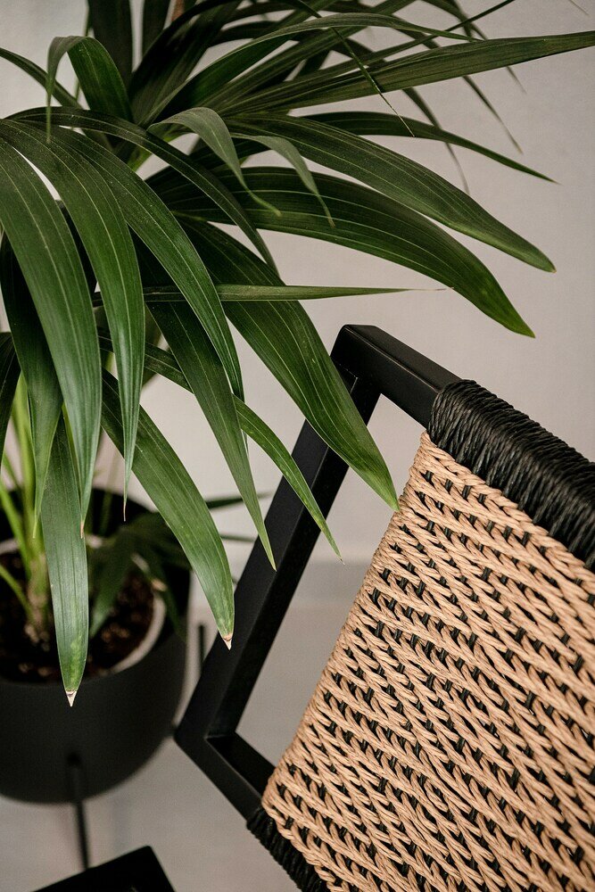 Фото Nuovo Luxury Suites