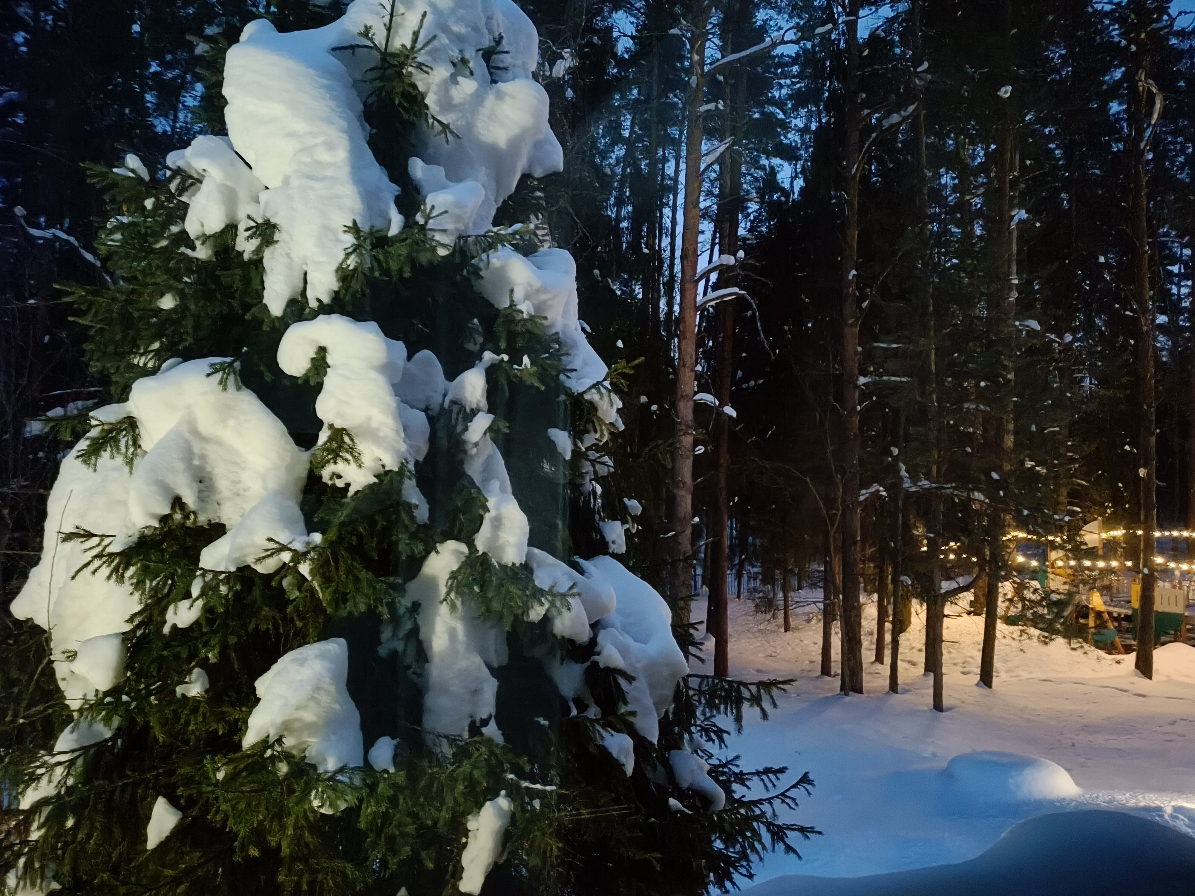 Фото Времена года в зелёном городе