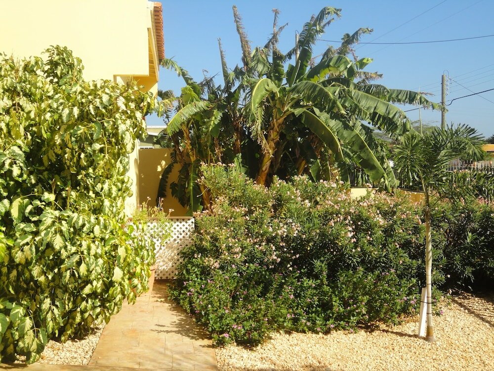 Фото Alta Montaña Apartments