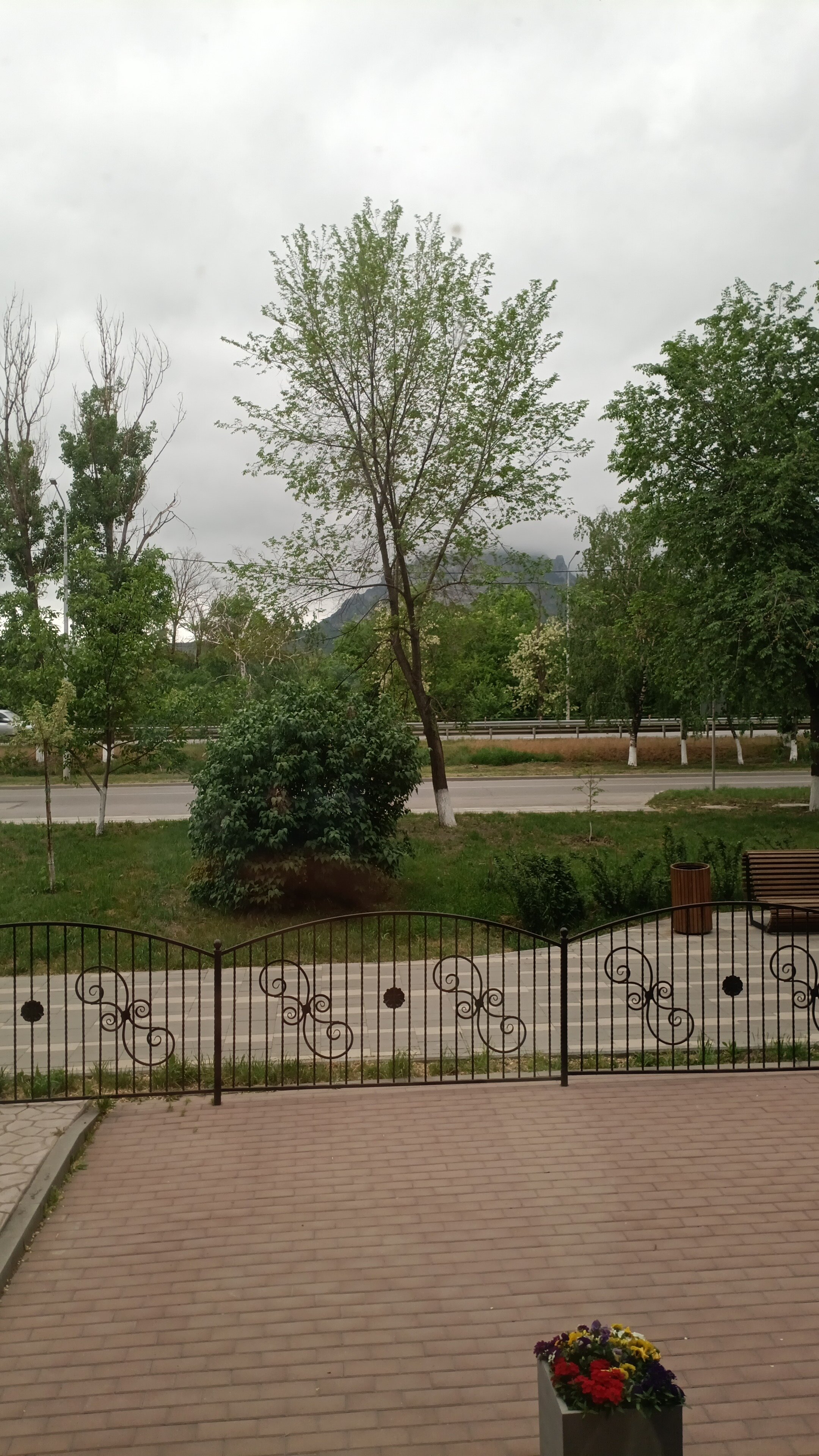 Фото Астэри