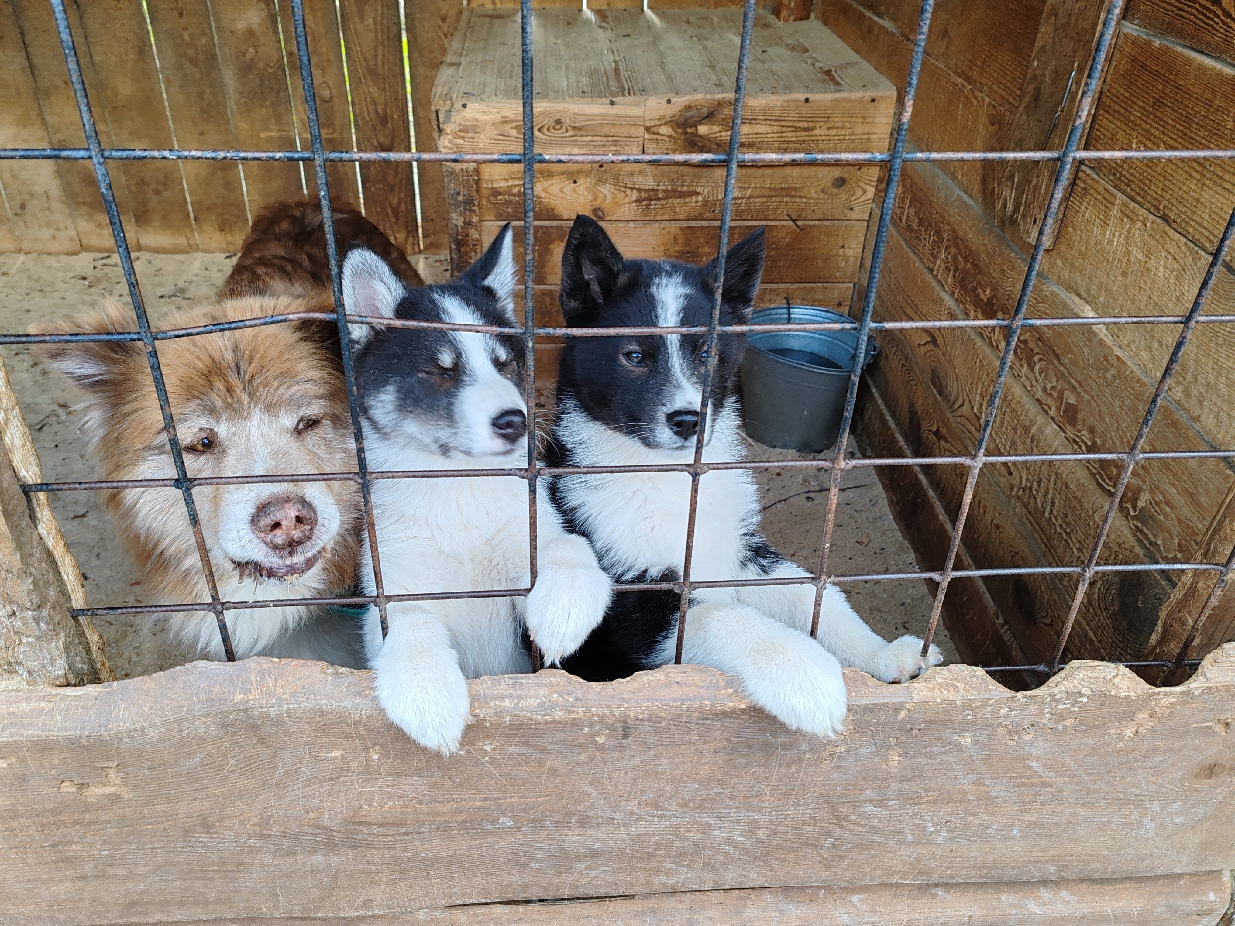 Фото Sunny Valley