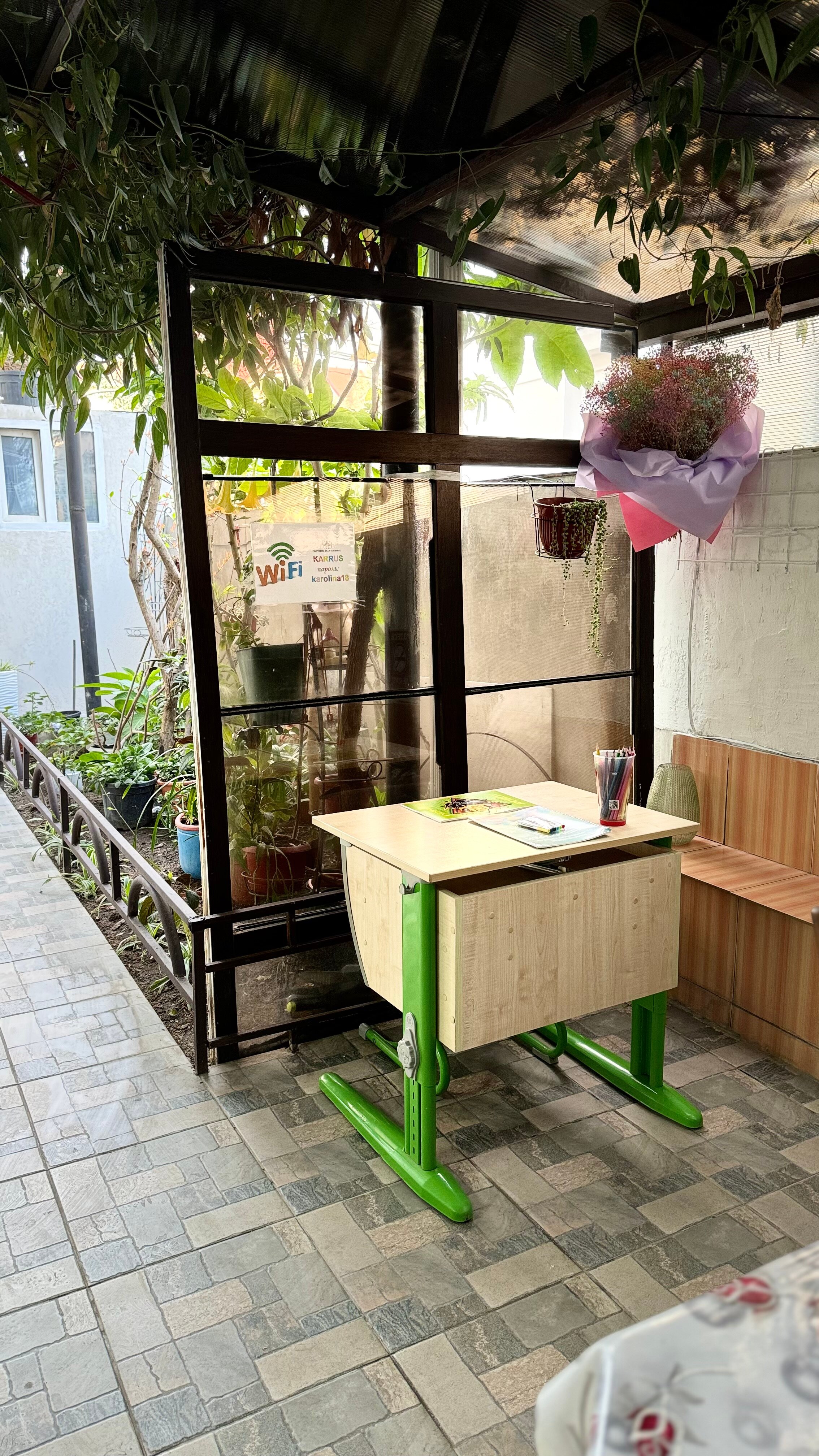 Фото Кипарис