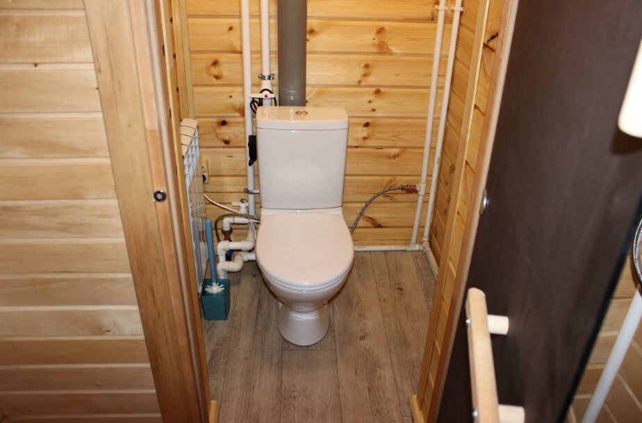 Фото Лесовик