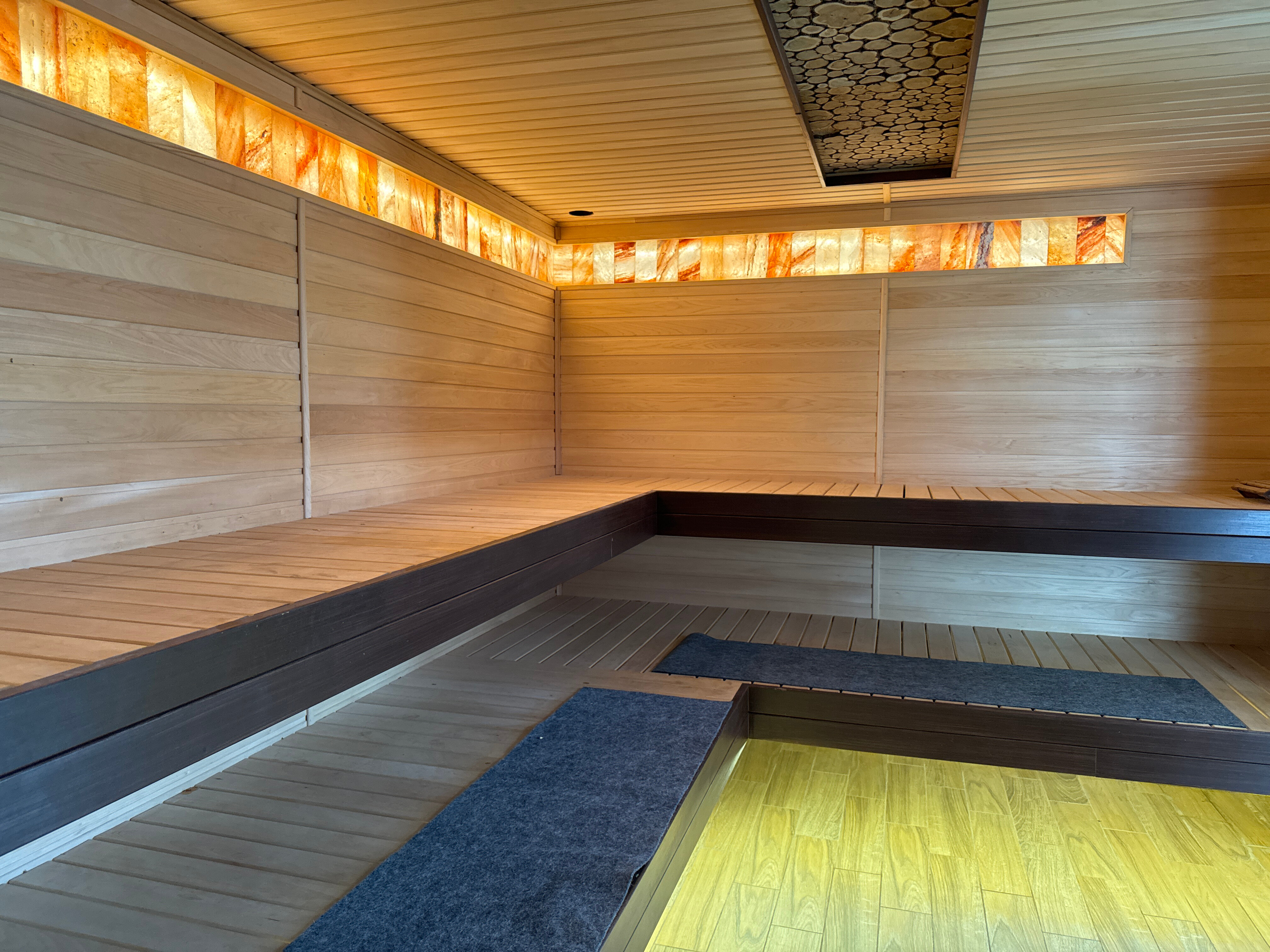 Фото Папоротник