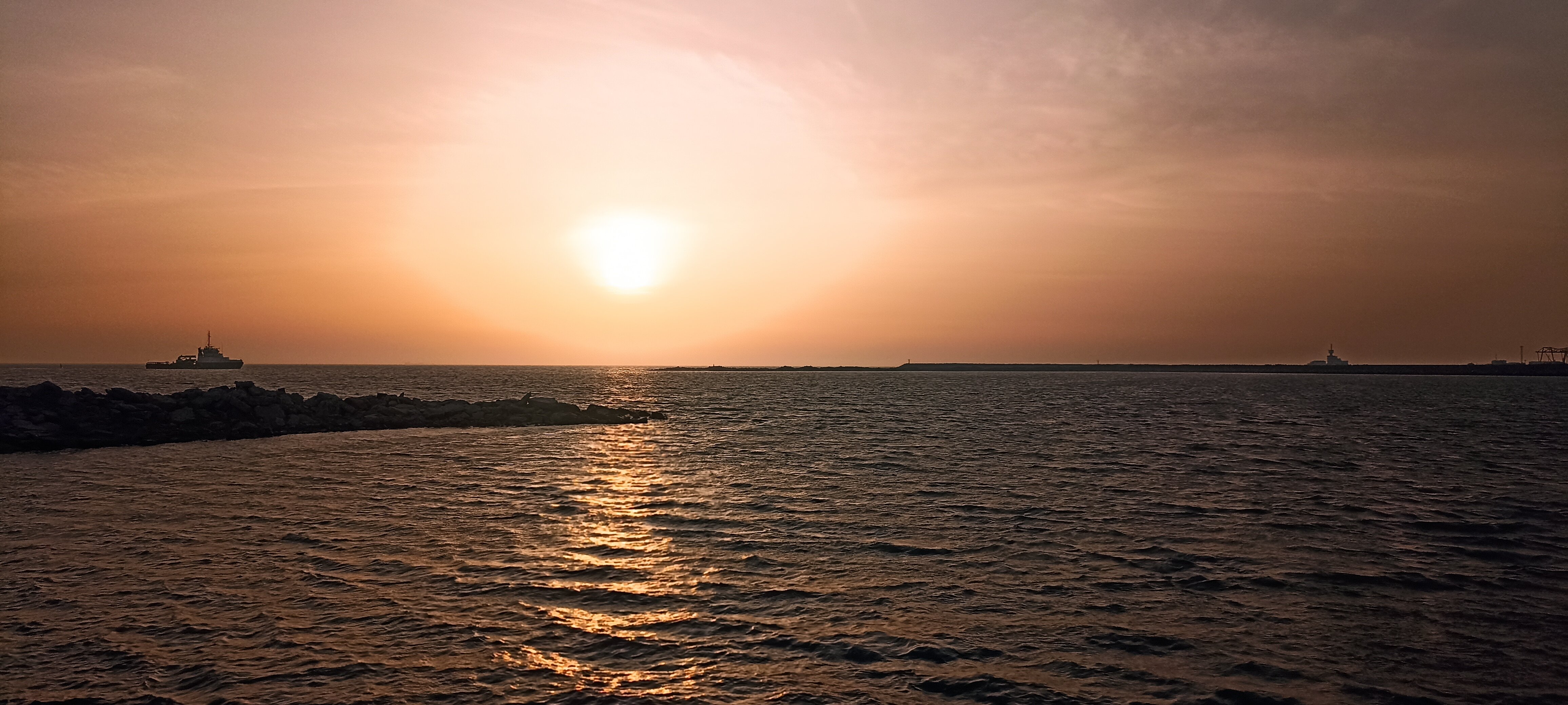 Фото Берёзка