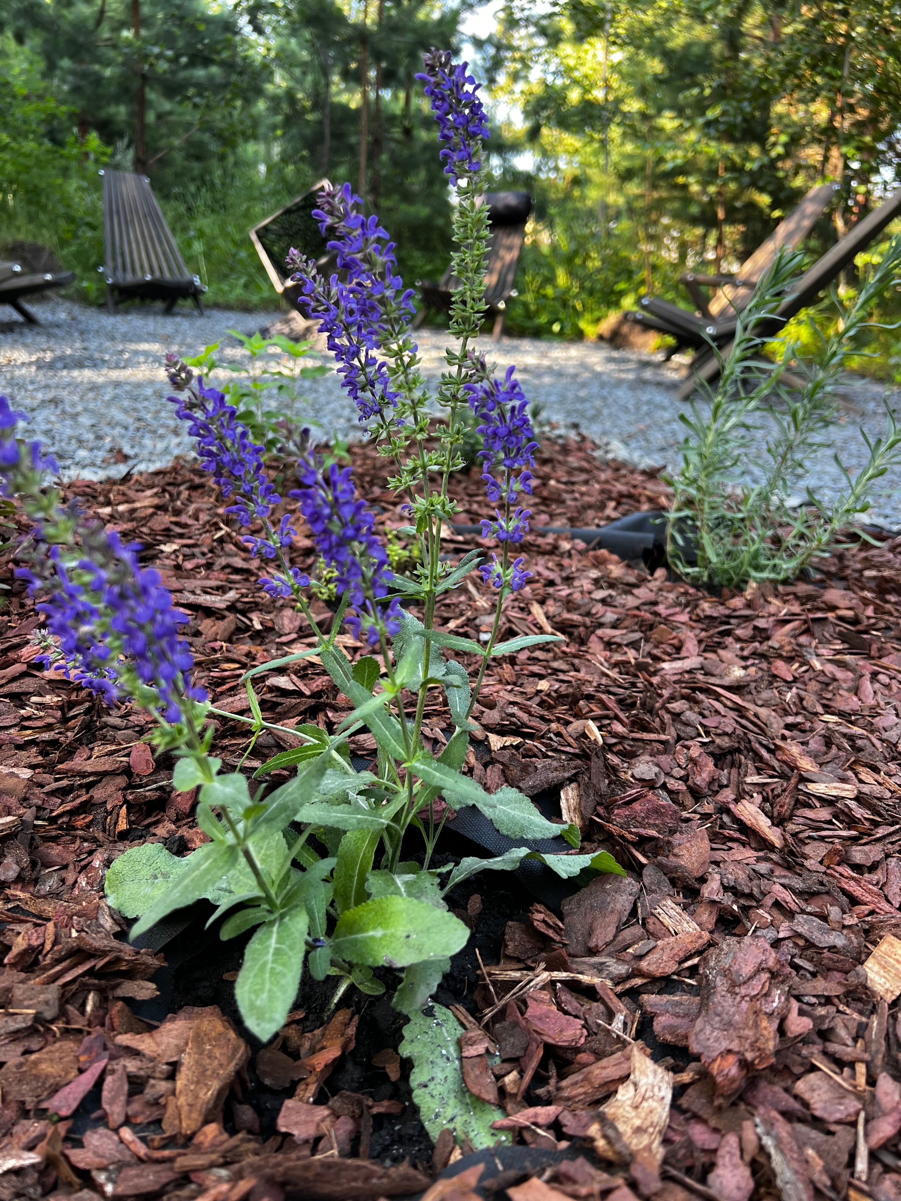 Фото Дом в заповеднике