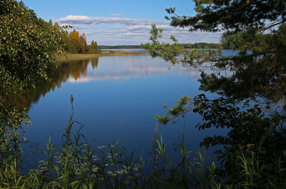 Фото Дом у озера