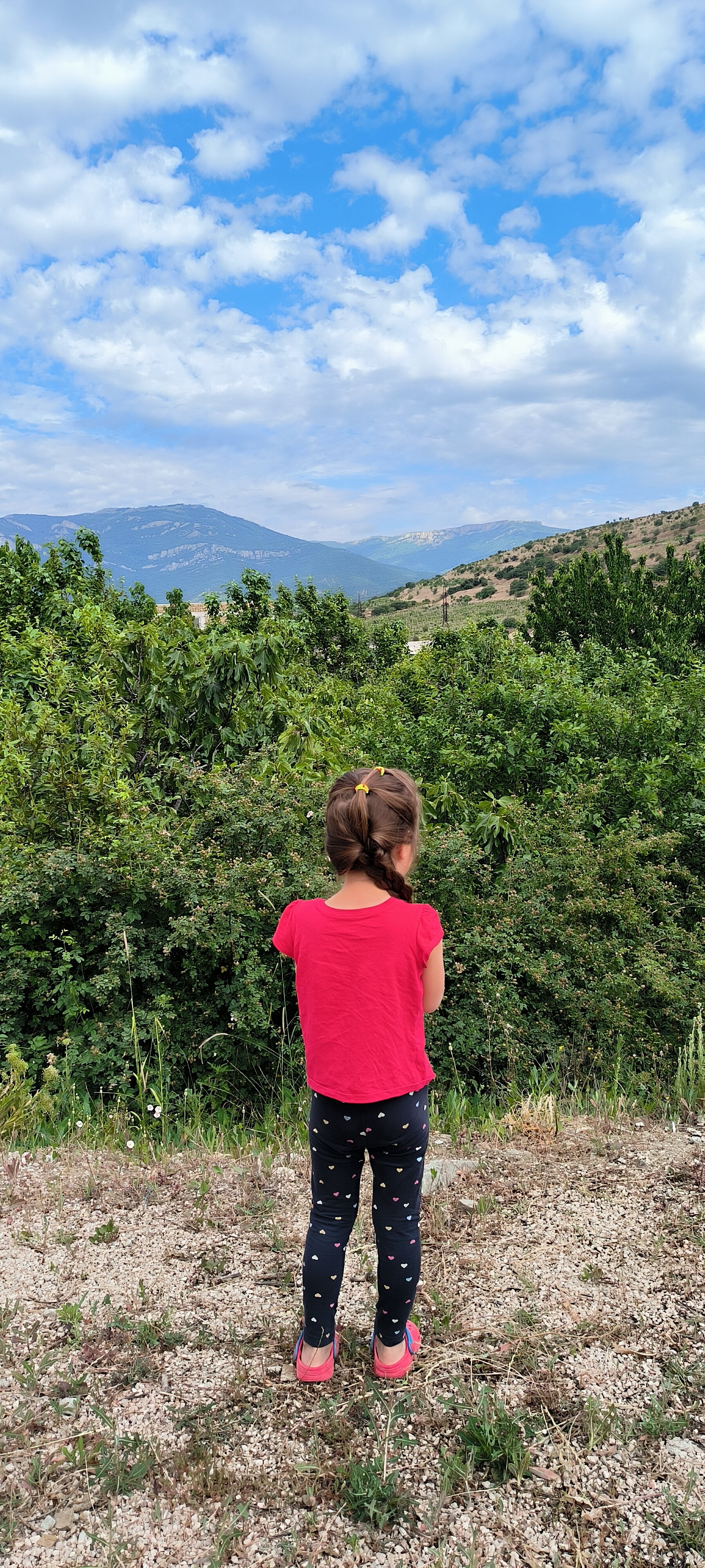 Фото Солнечная Усадьба