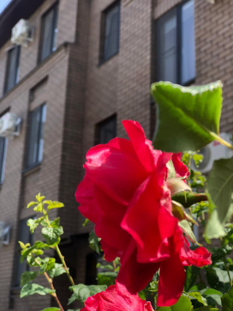 Фото Атмосфера